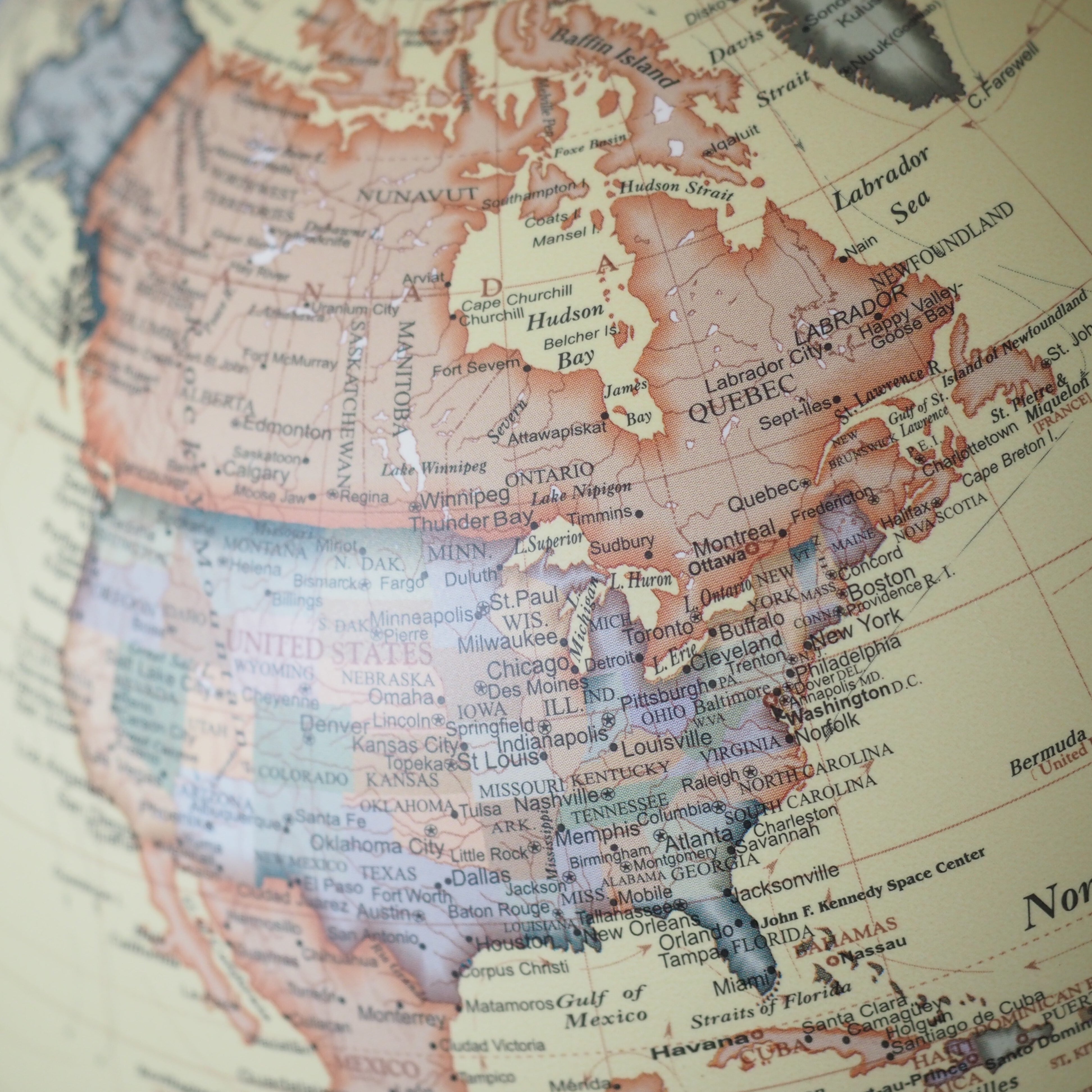 インテリアグローブ L