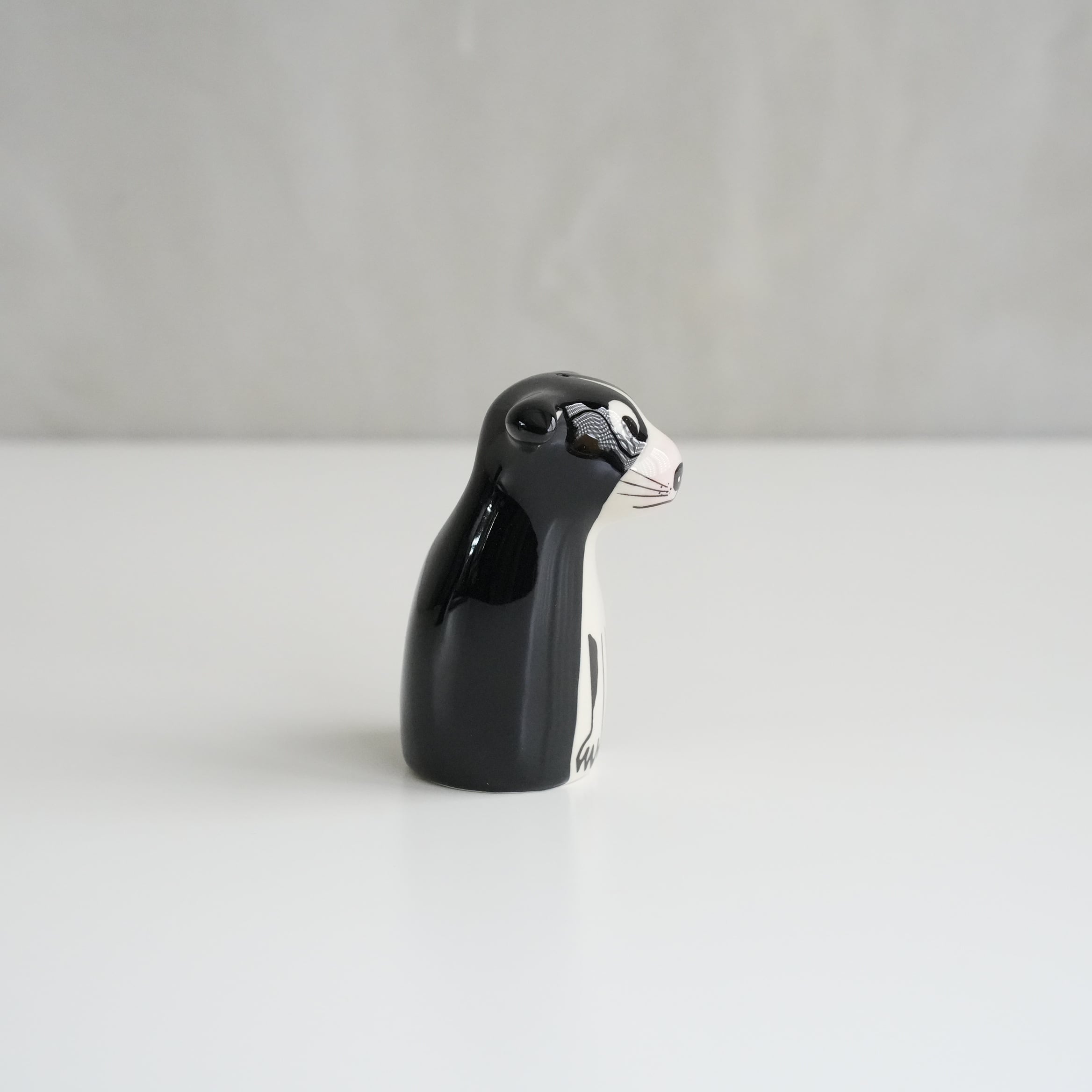 Salt and Peppers Boston Terrier