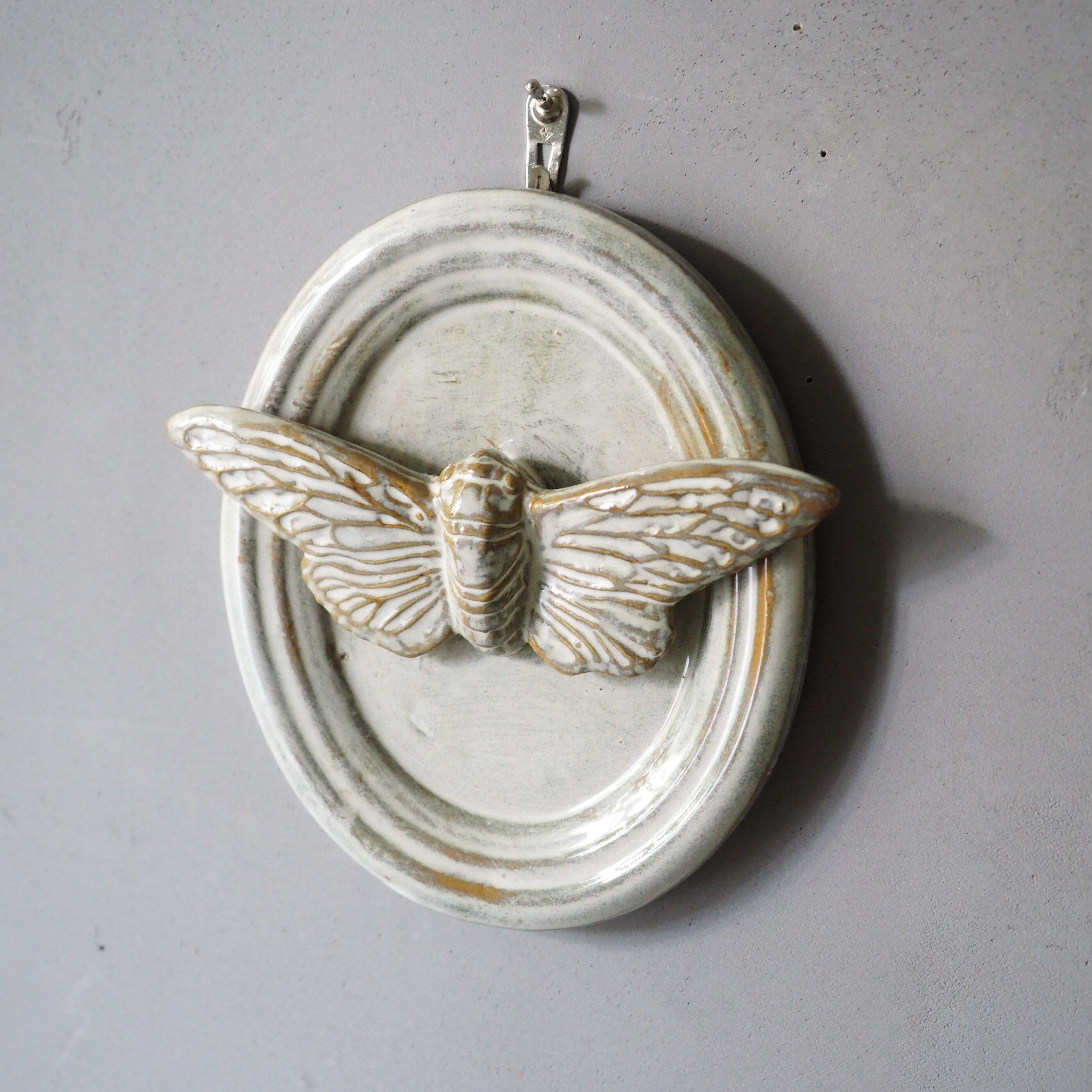 Cicada Trophy AH-016