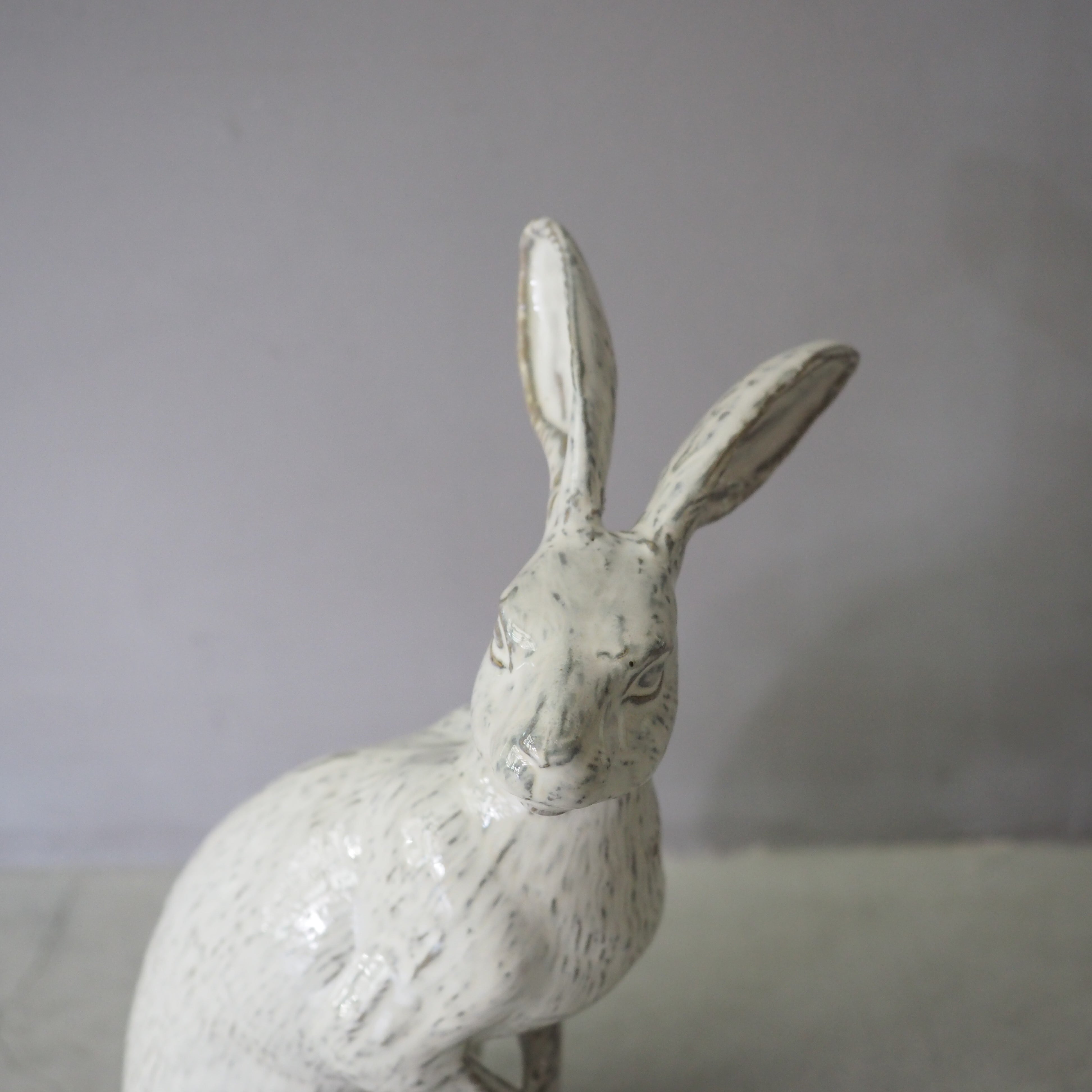 Curious Hare White PP-023-05