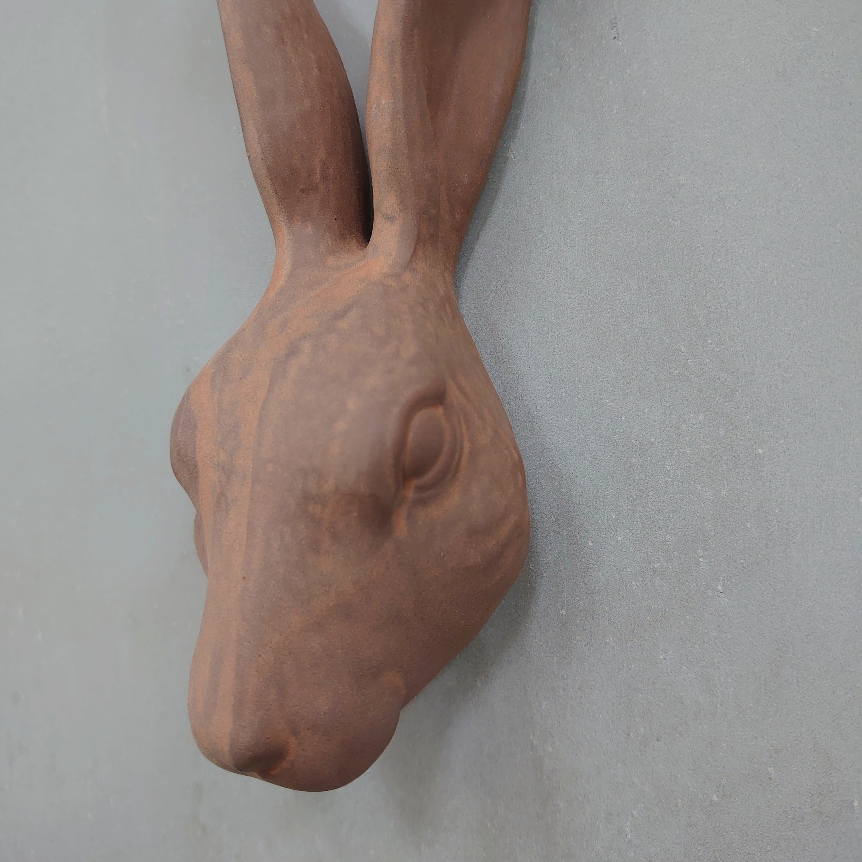 Hare Hook Brown KN-025H-20