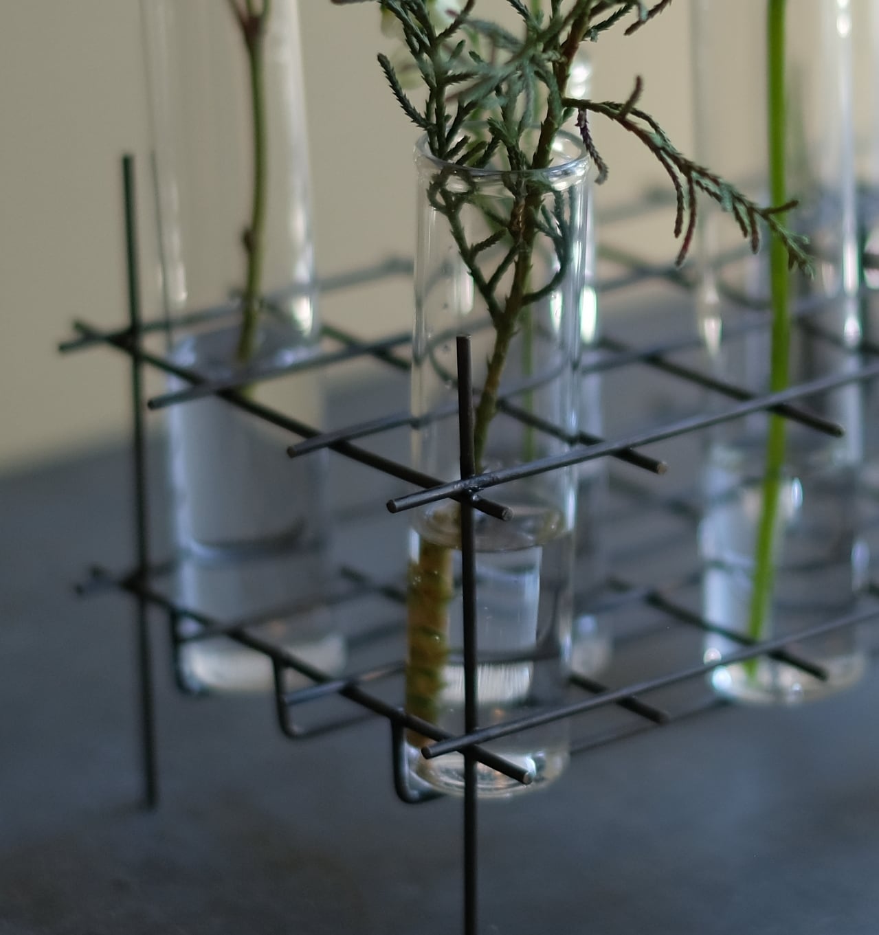 BIRD'S NEST S GLASS TEST TUBE VASE