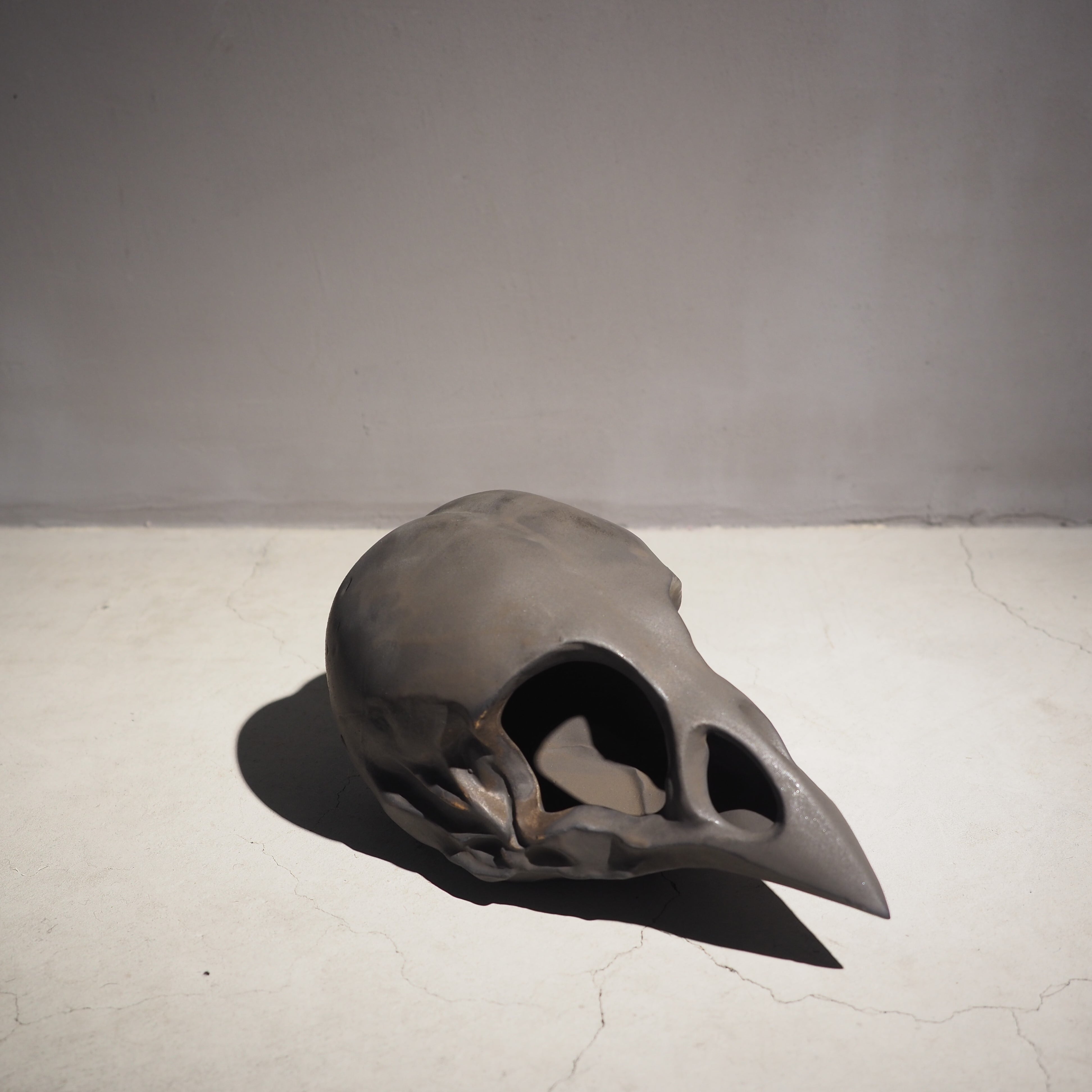 Bird Skull Eye Socket BK BSK-001-04