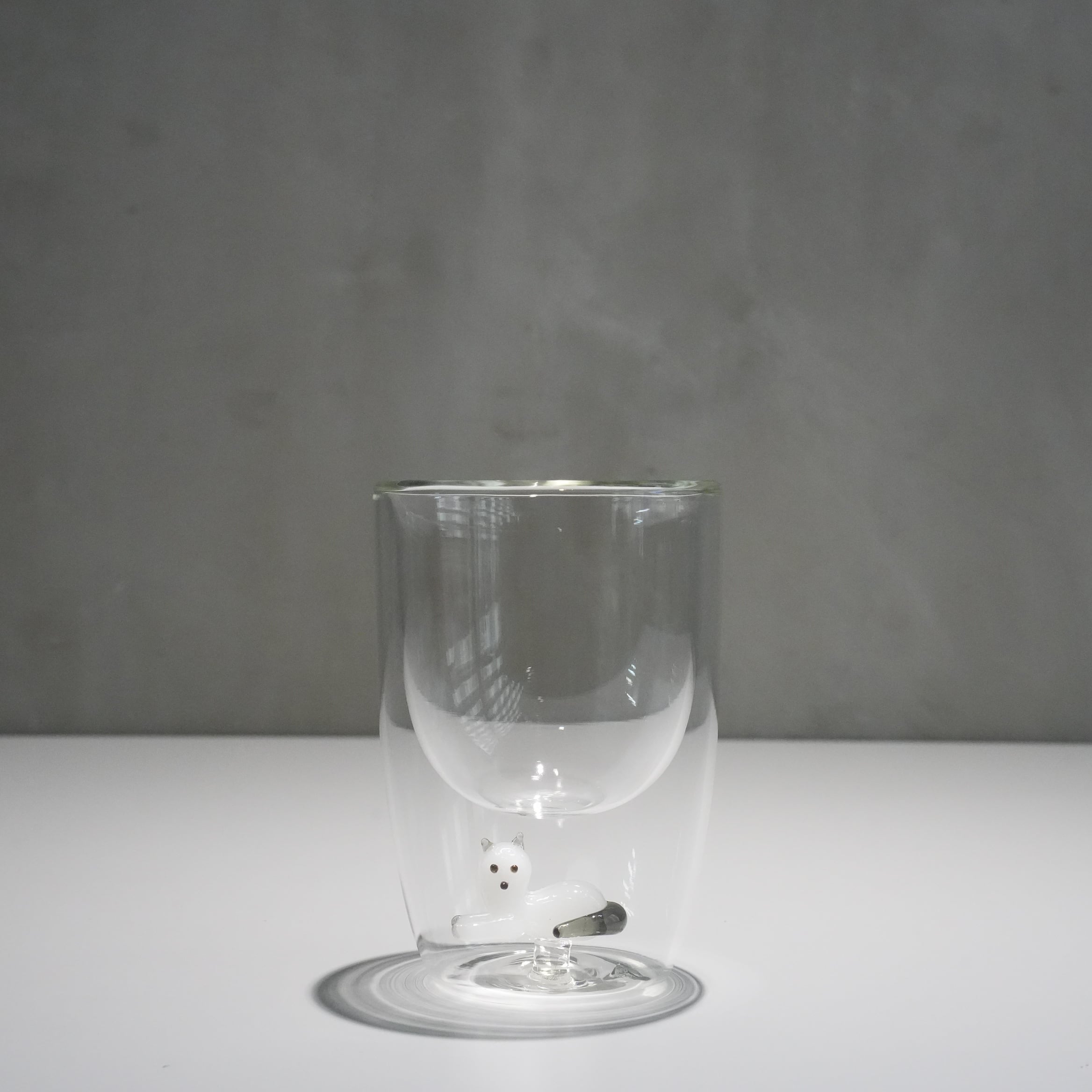 Double Wall Glass Tumbler