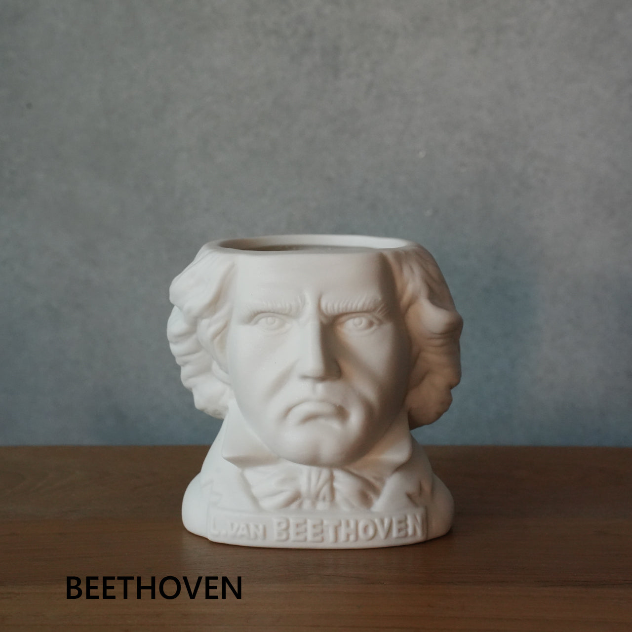 FIRTILE MINDS PLANTERS