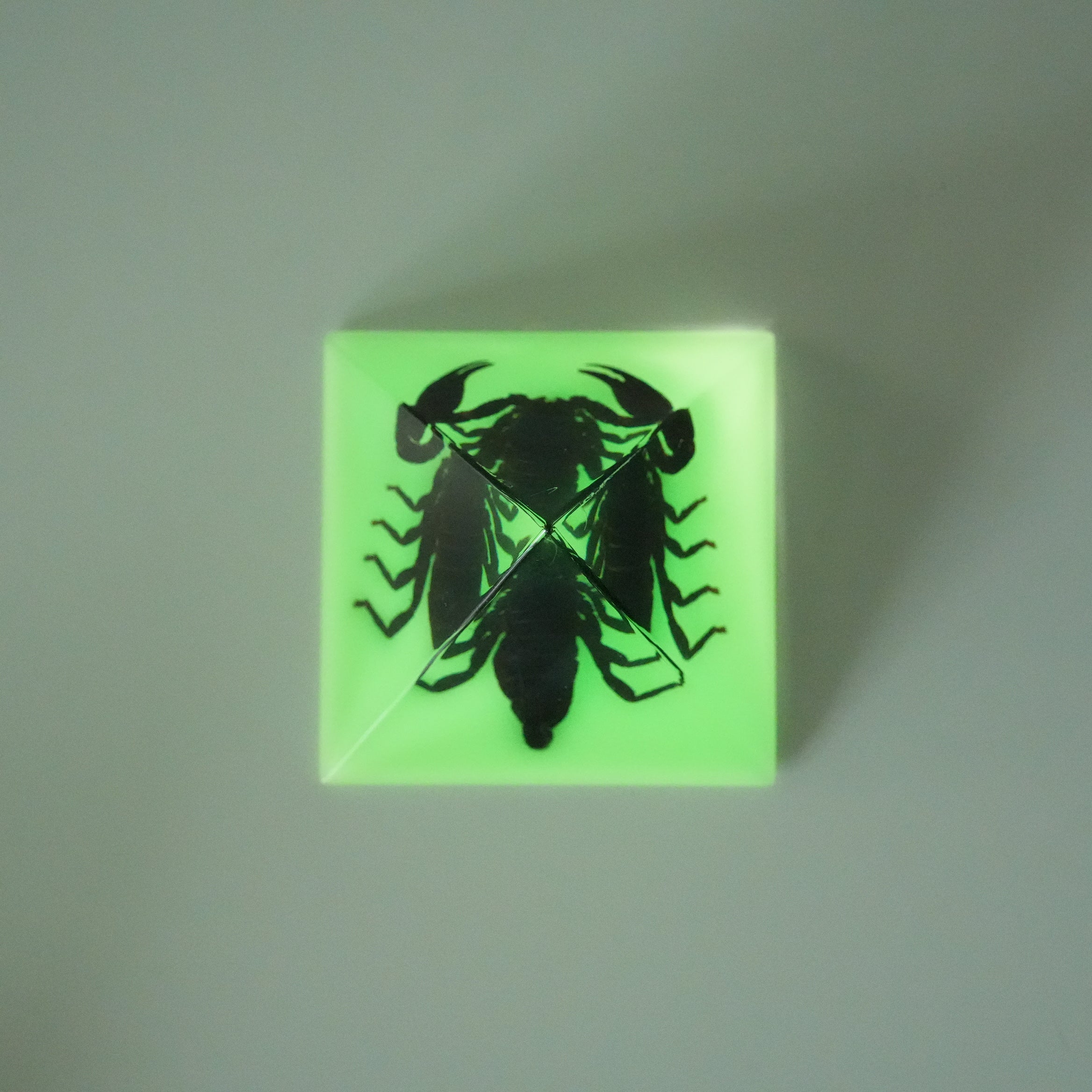 BLACK SCORPION PYRAMID GID