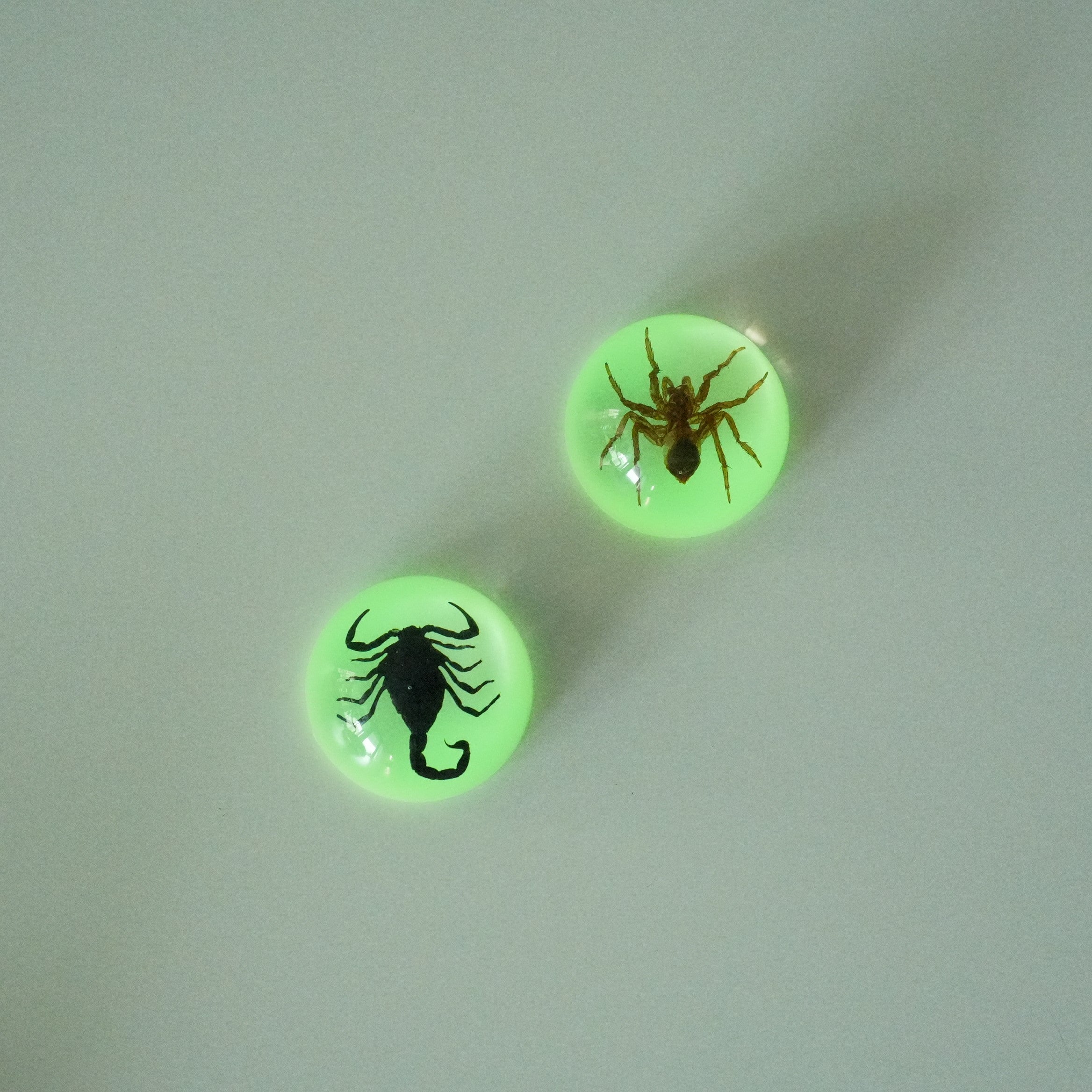 SCORPION&SPIDER MAGNET GID