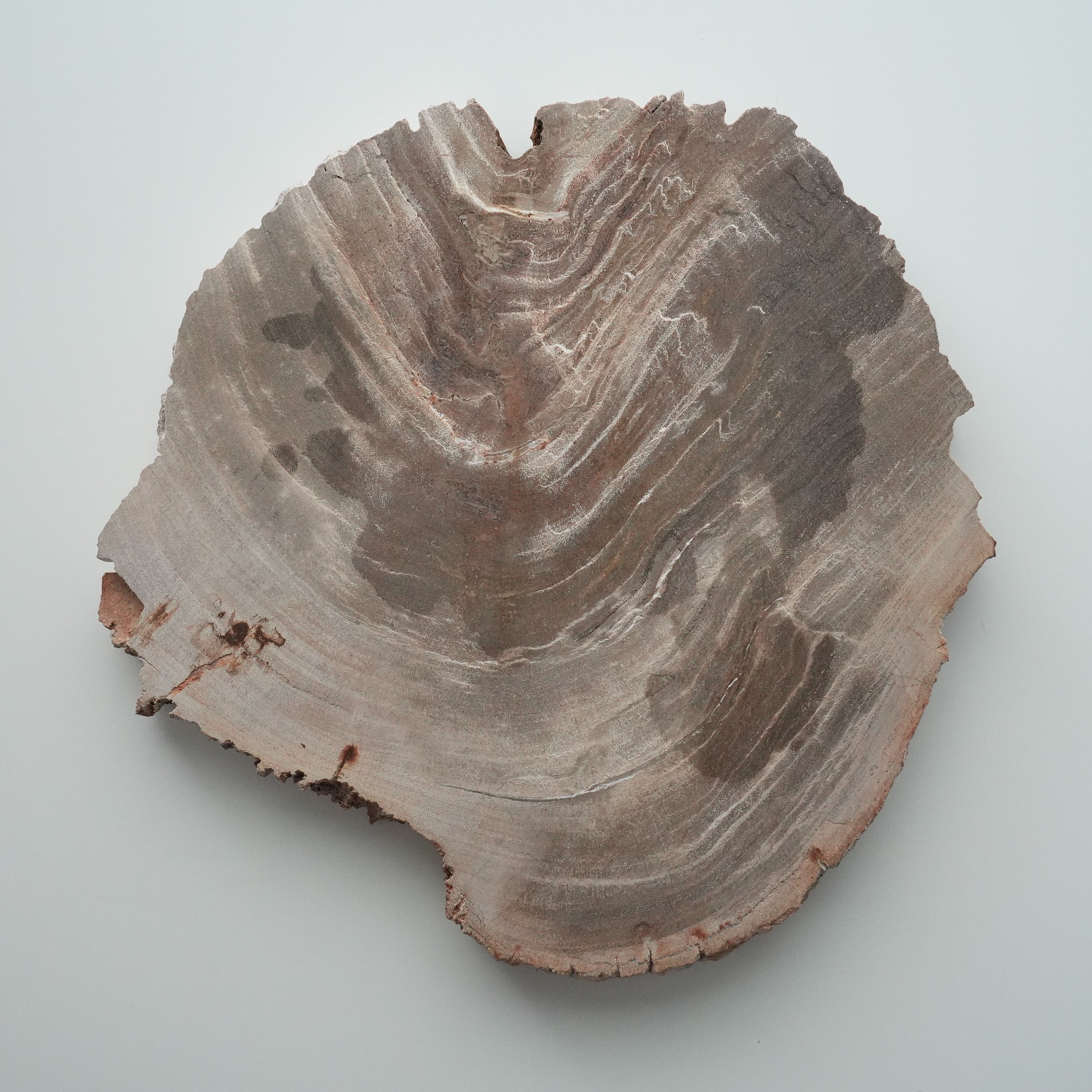 Wood Plate 20 Natural B