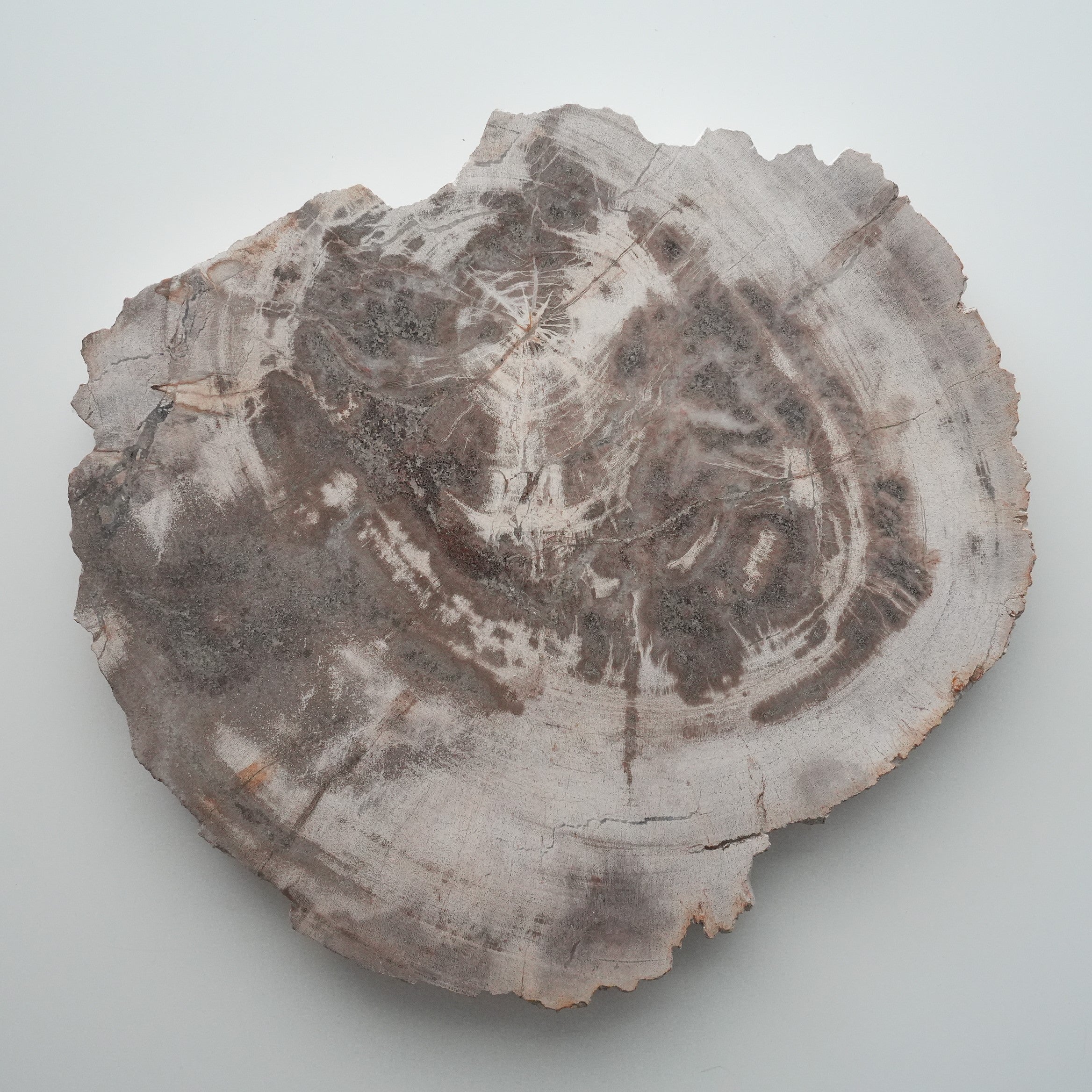 Wood Plate 20 Natural A