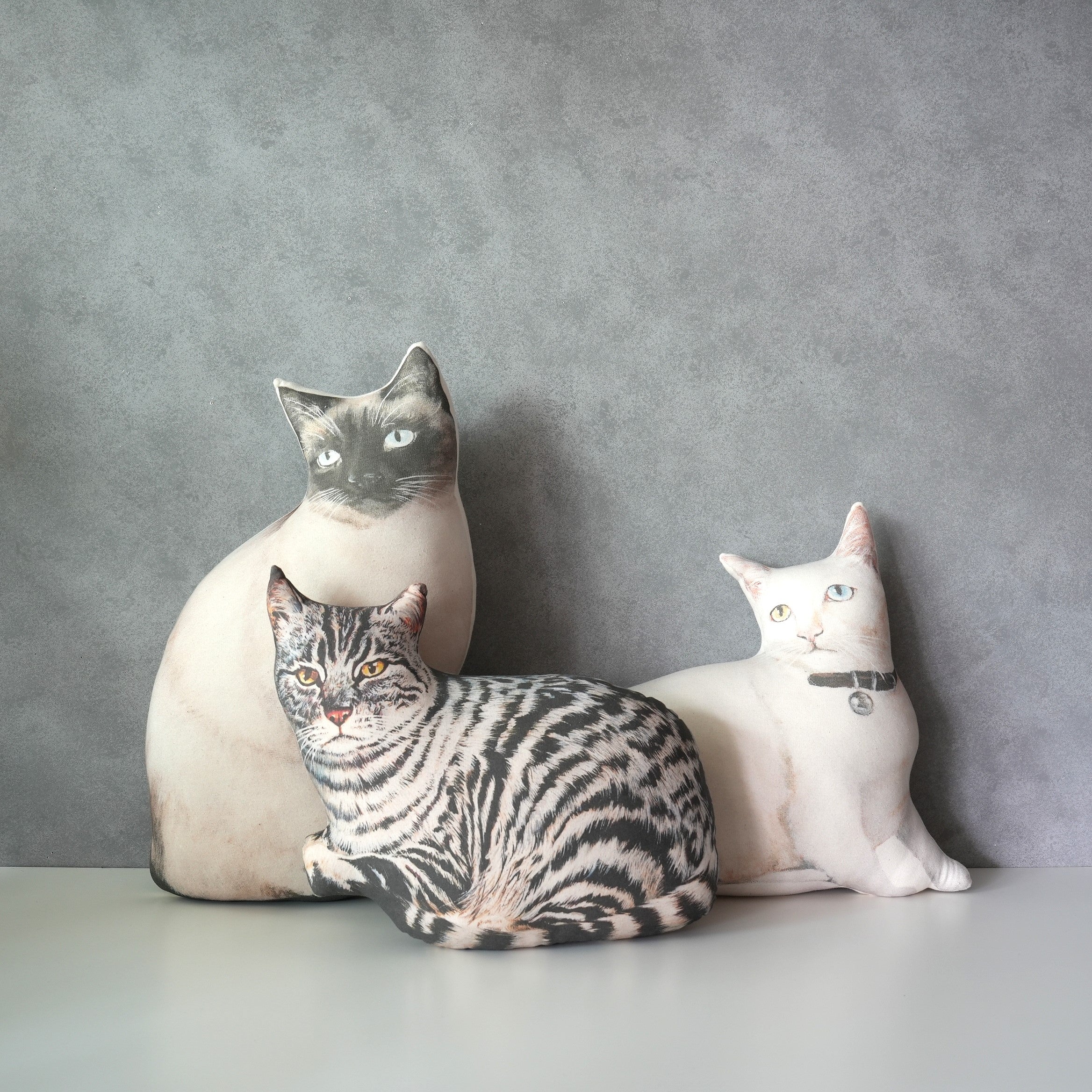 Cat Cushion