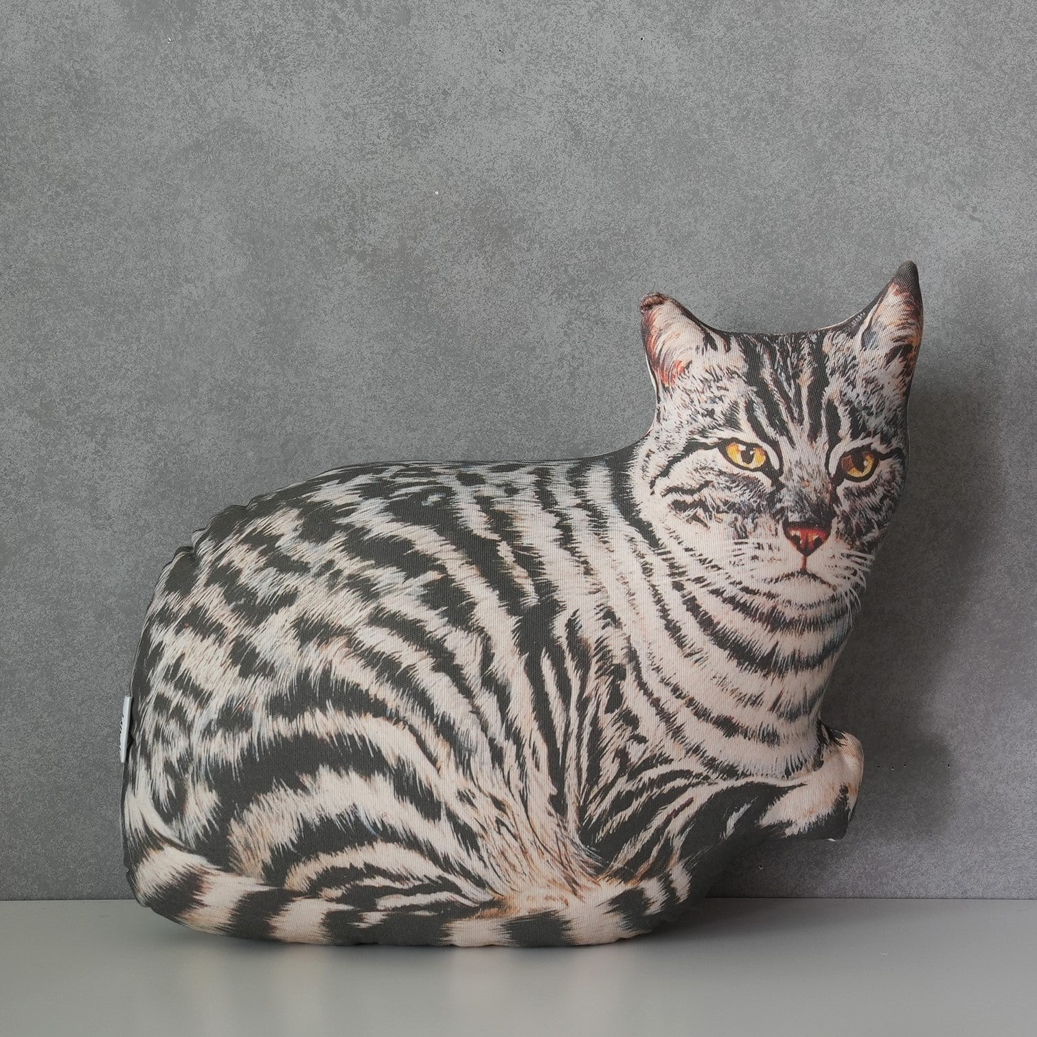 Cat Cushion