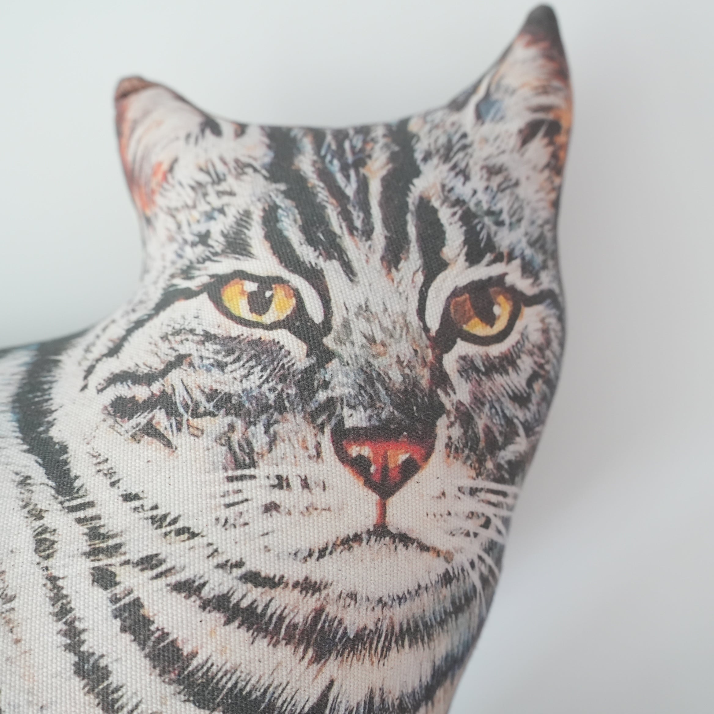 Cat Cushion