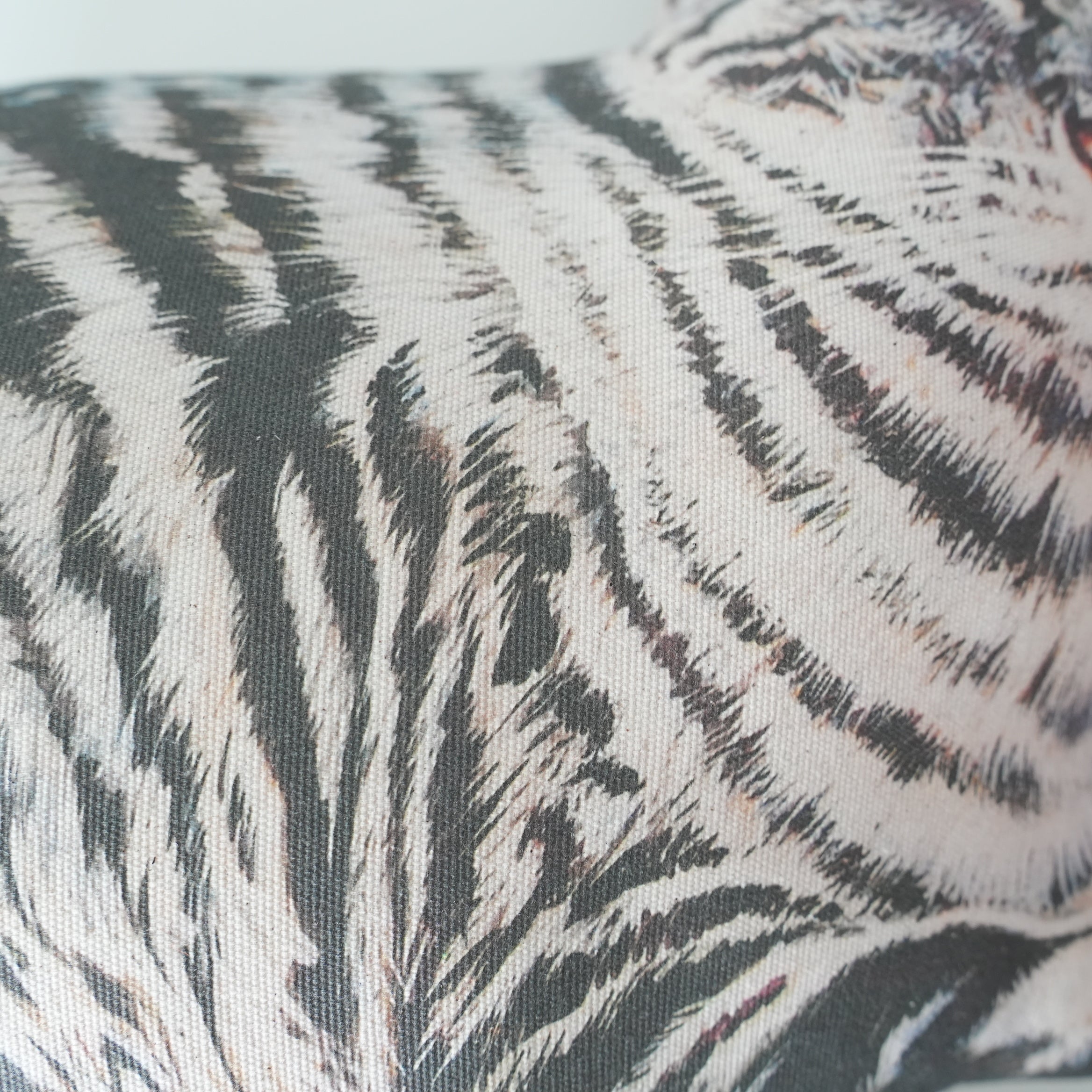 Cat Cushion
