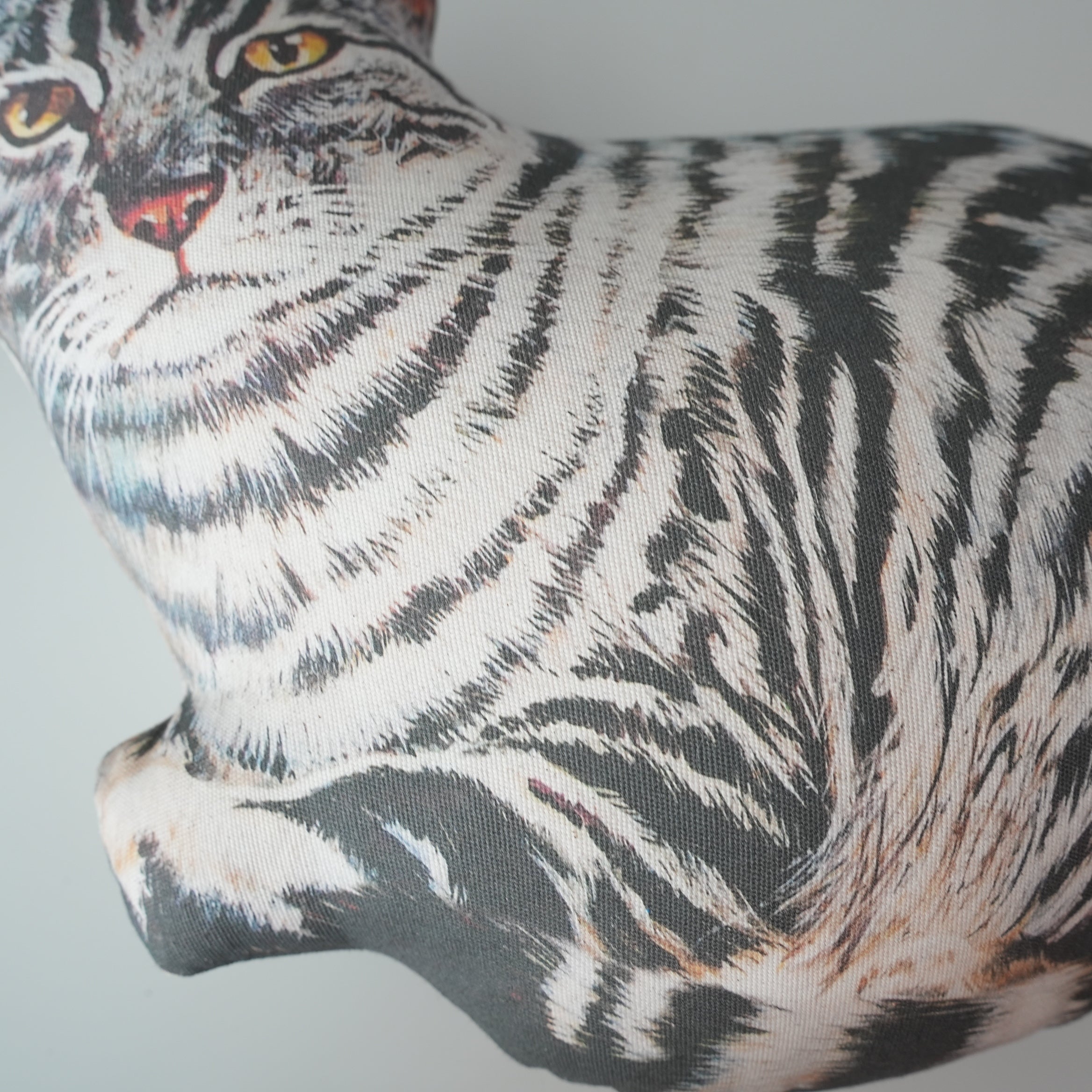 Cat Cushion