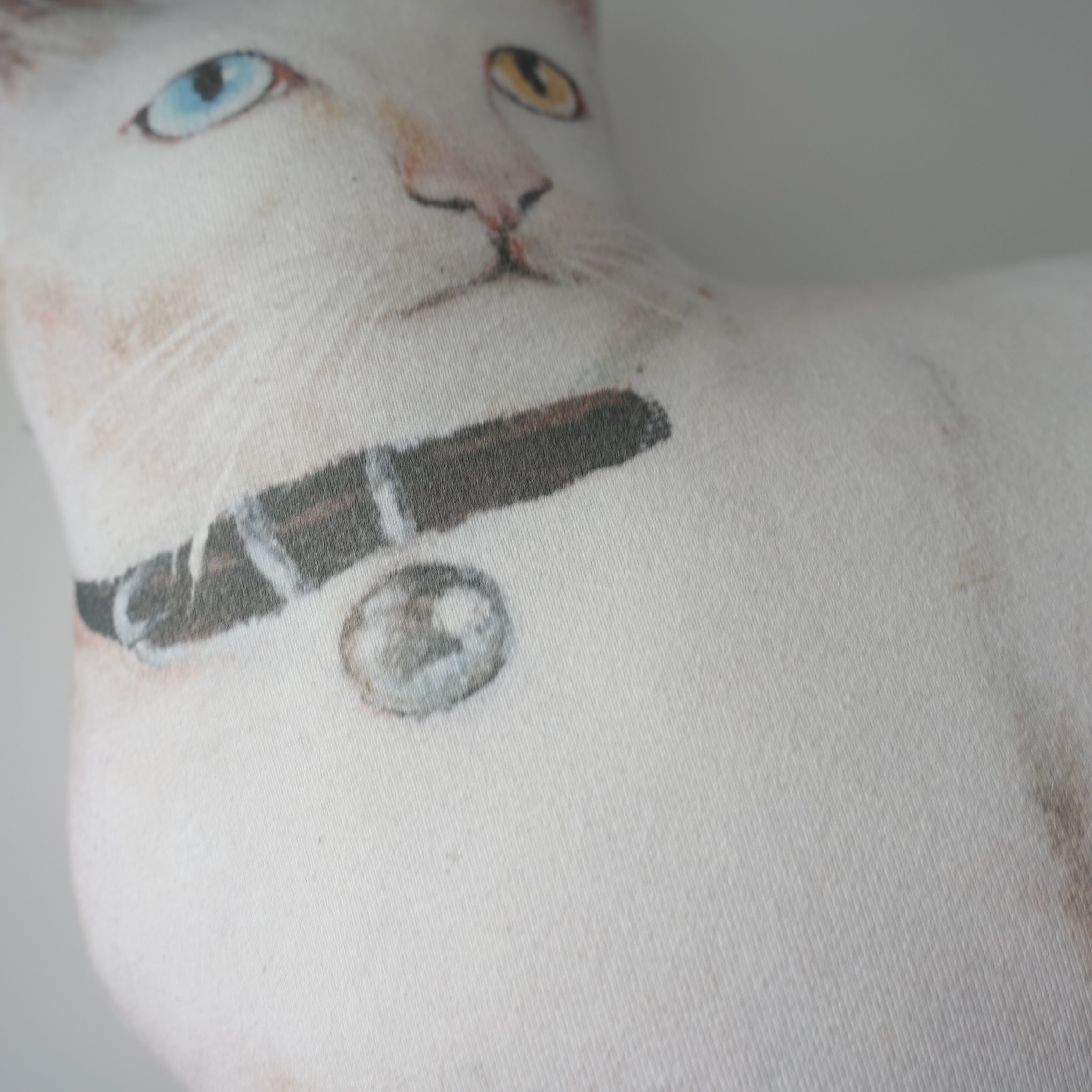 Cat Cushion