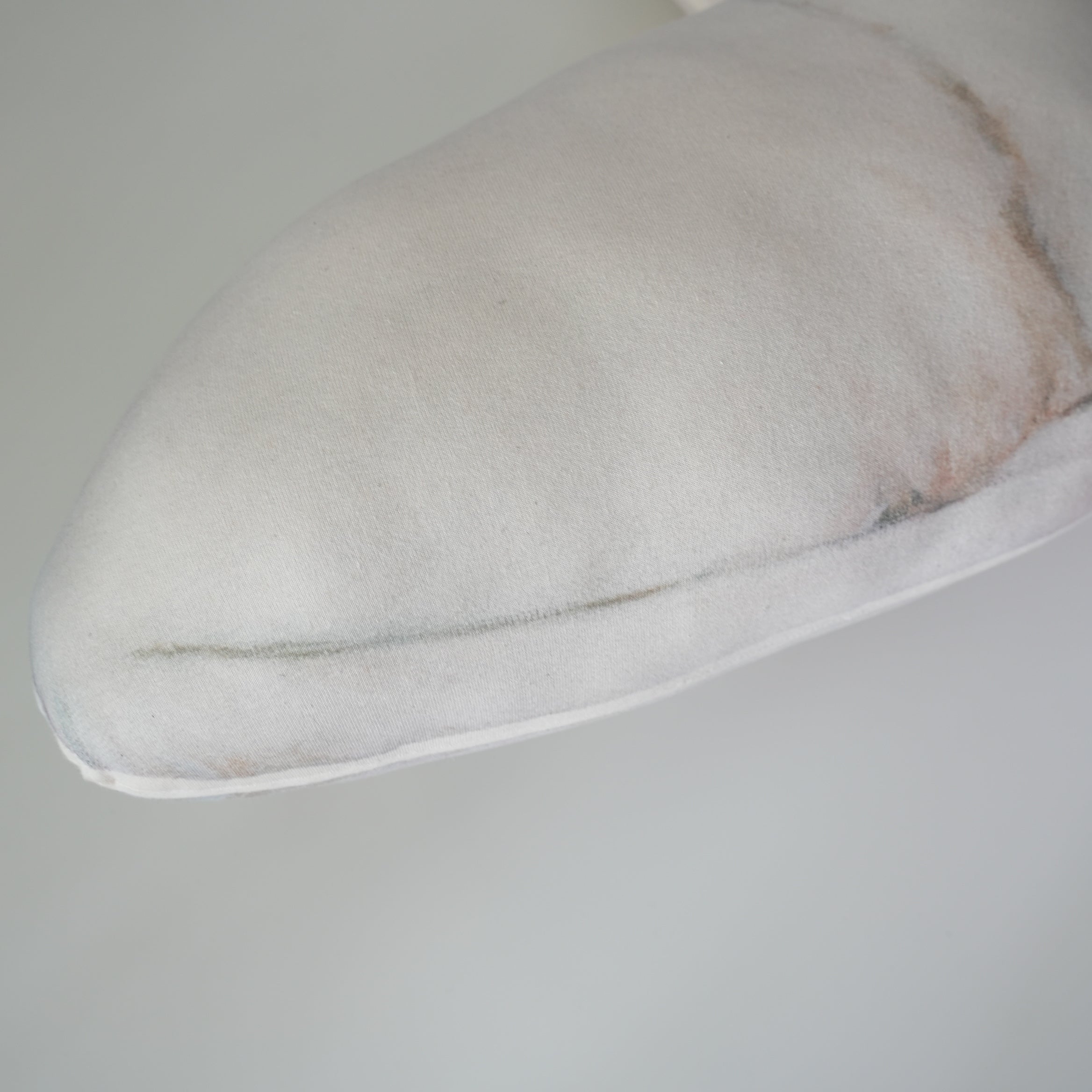 Cat Cushion