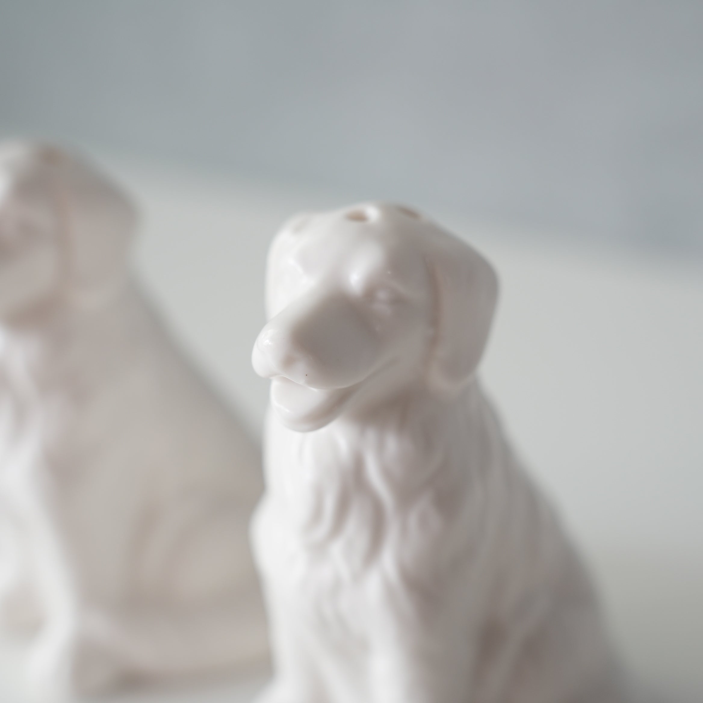 CERAMIC SALT & PEPPER SHAKER SET