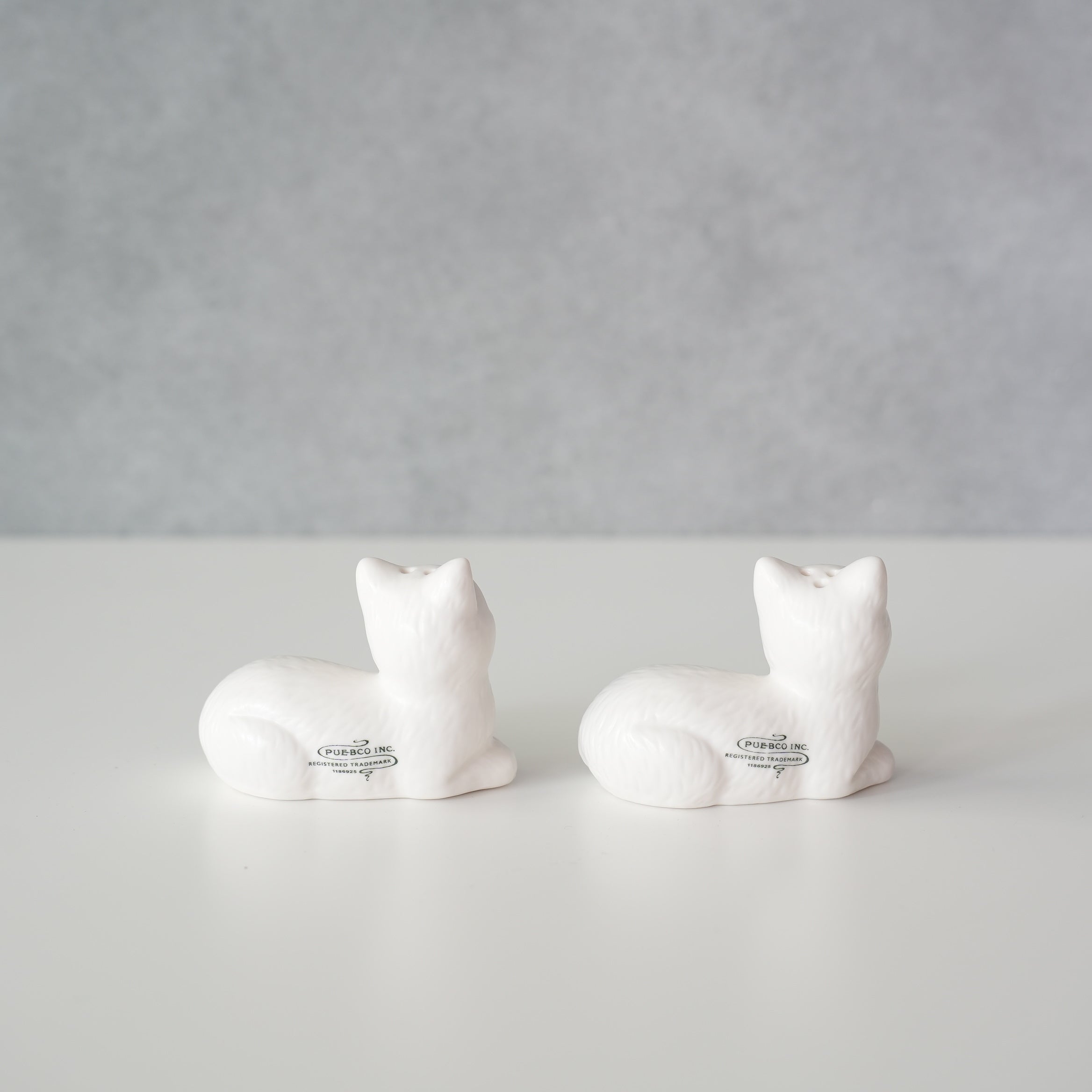 CERAMIC SALT & PEPPER SHAKER SET