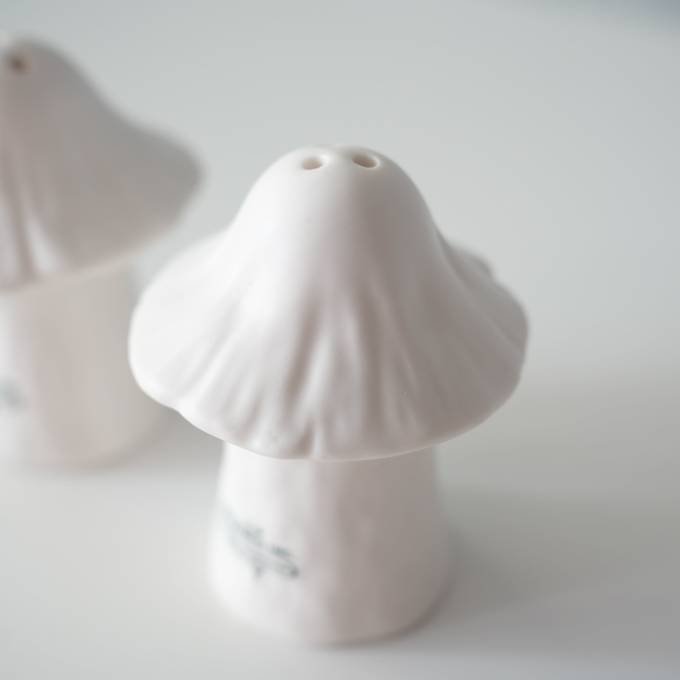 CERAMIC SALT & PEPPER SHAKER SET