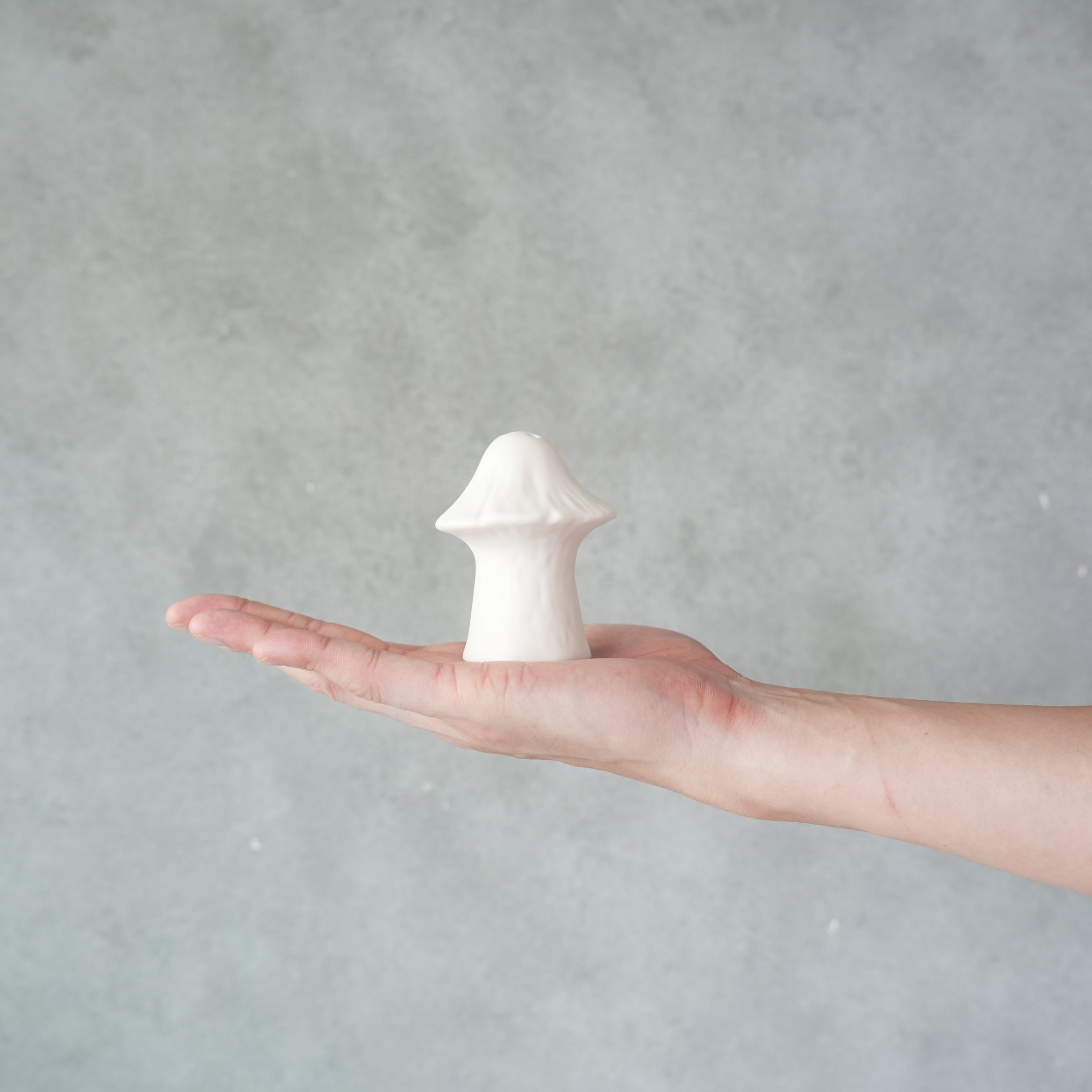 CERAMIC SALT & PEPPER SHAKER SET