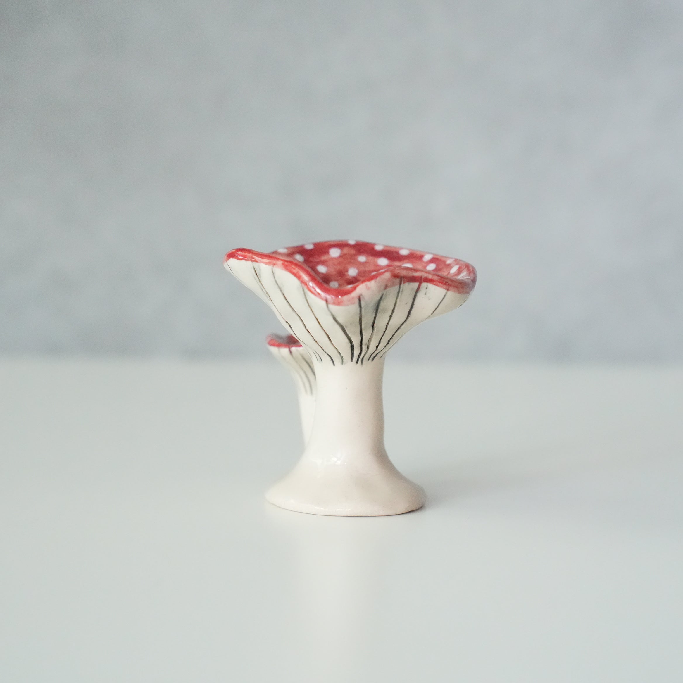 Mushroom Object A