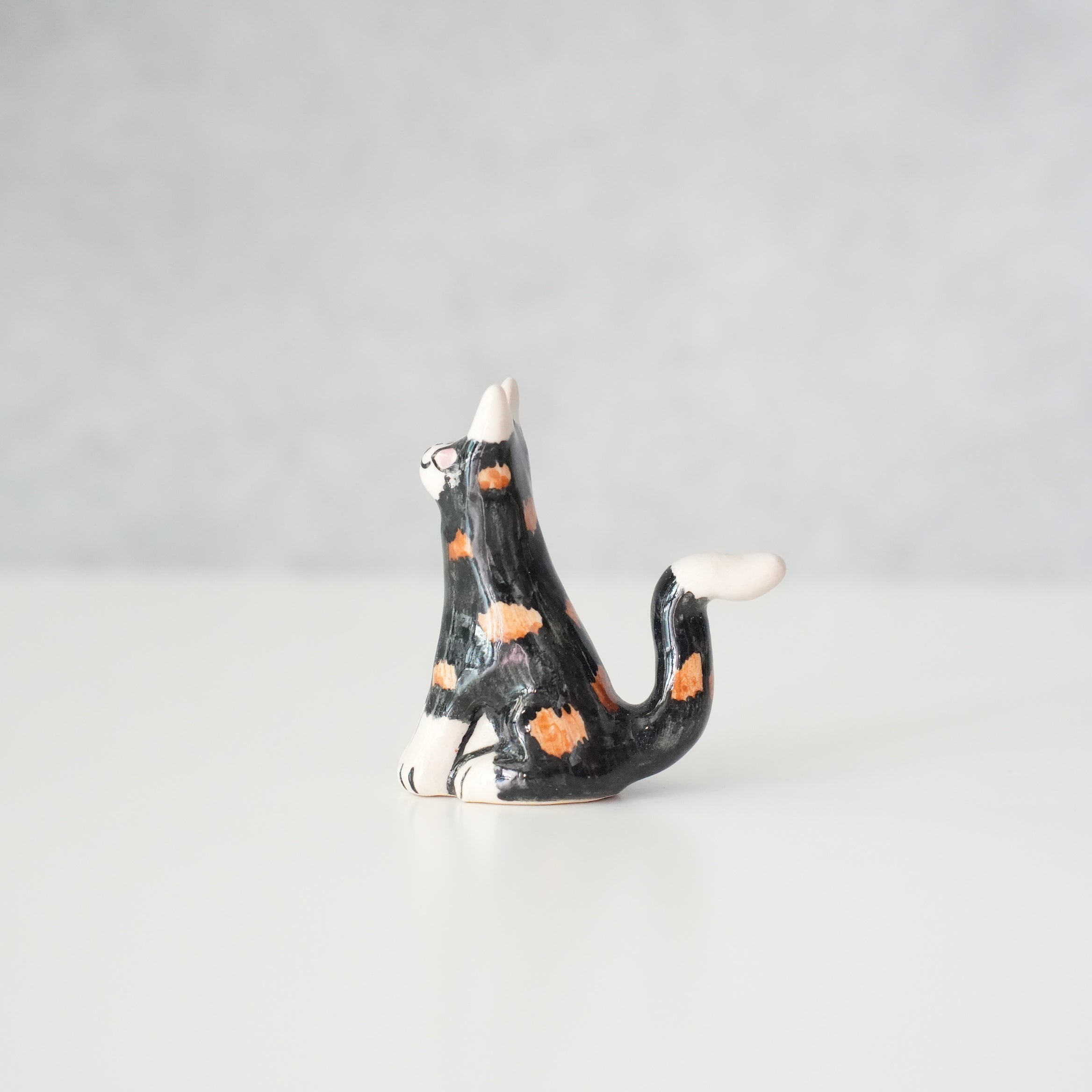 Cat Object C