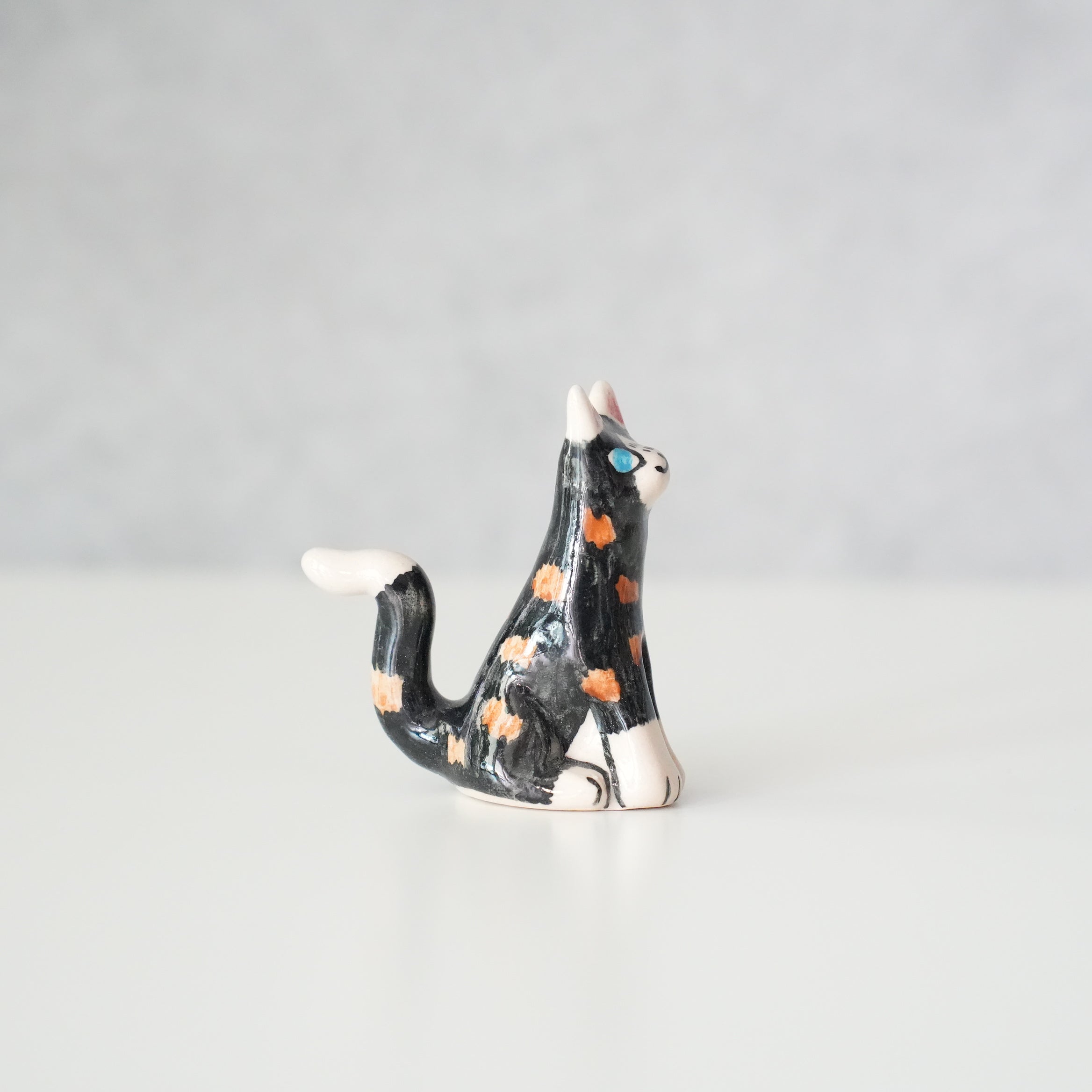 Cat Object C
