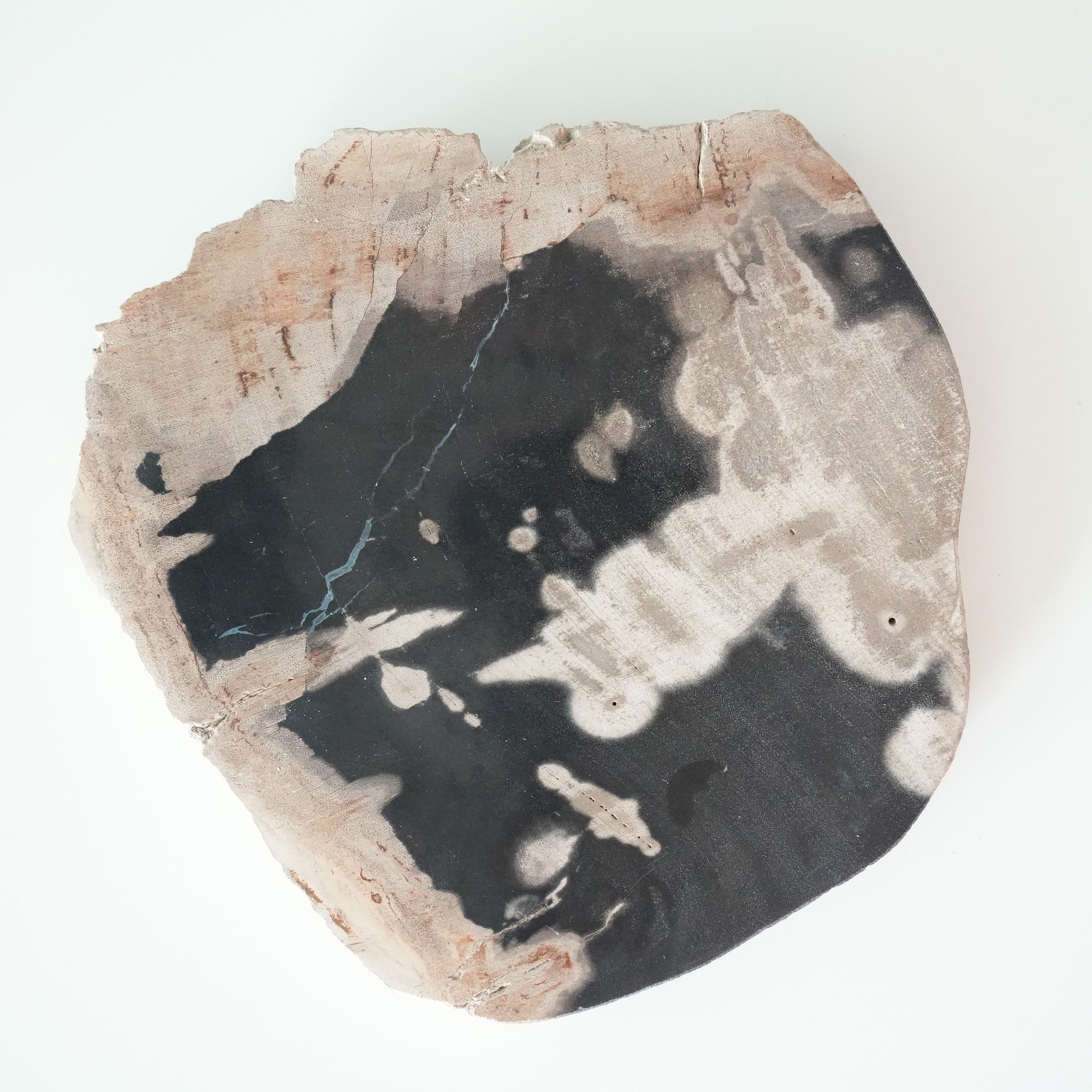 Wood Plate 20 Black B