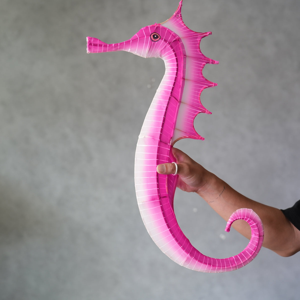 Sea Horse