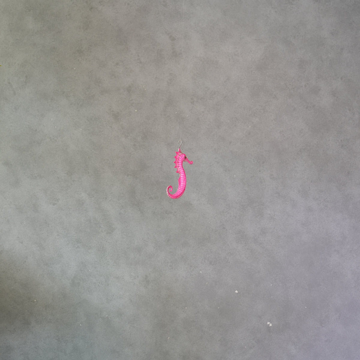 Small Sea Horse