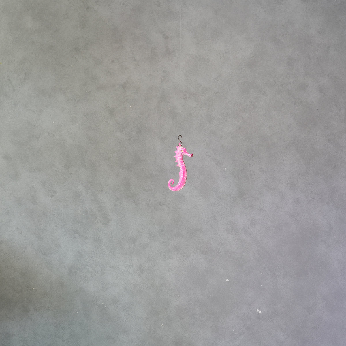 Small Sea Horse