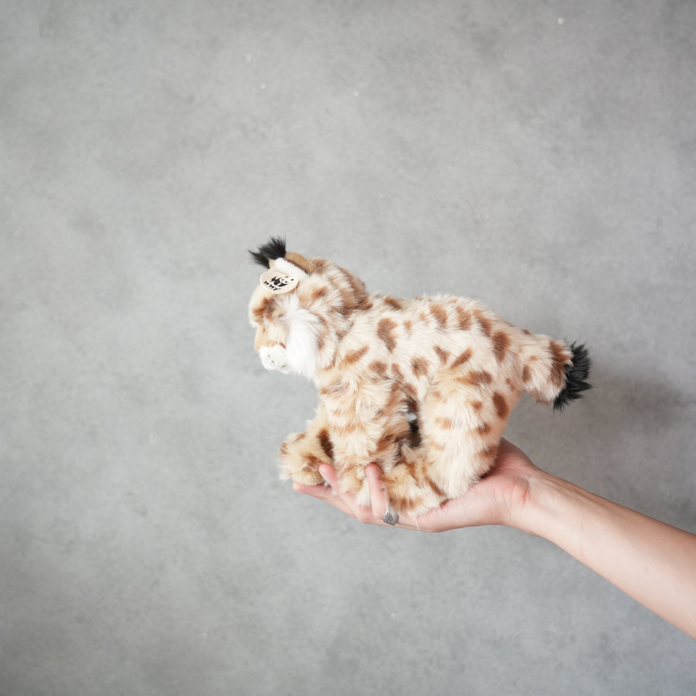 WWF LYNX