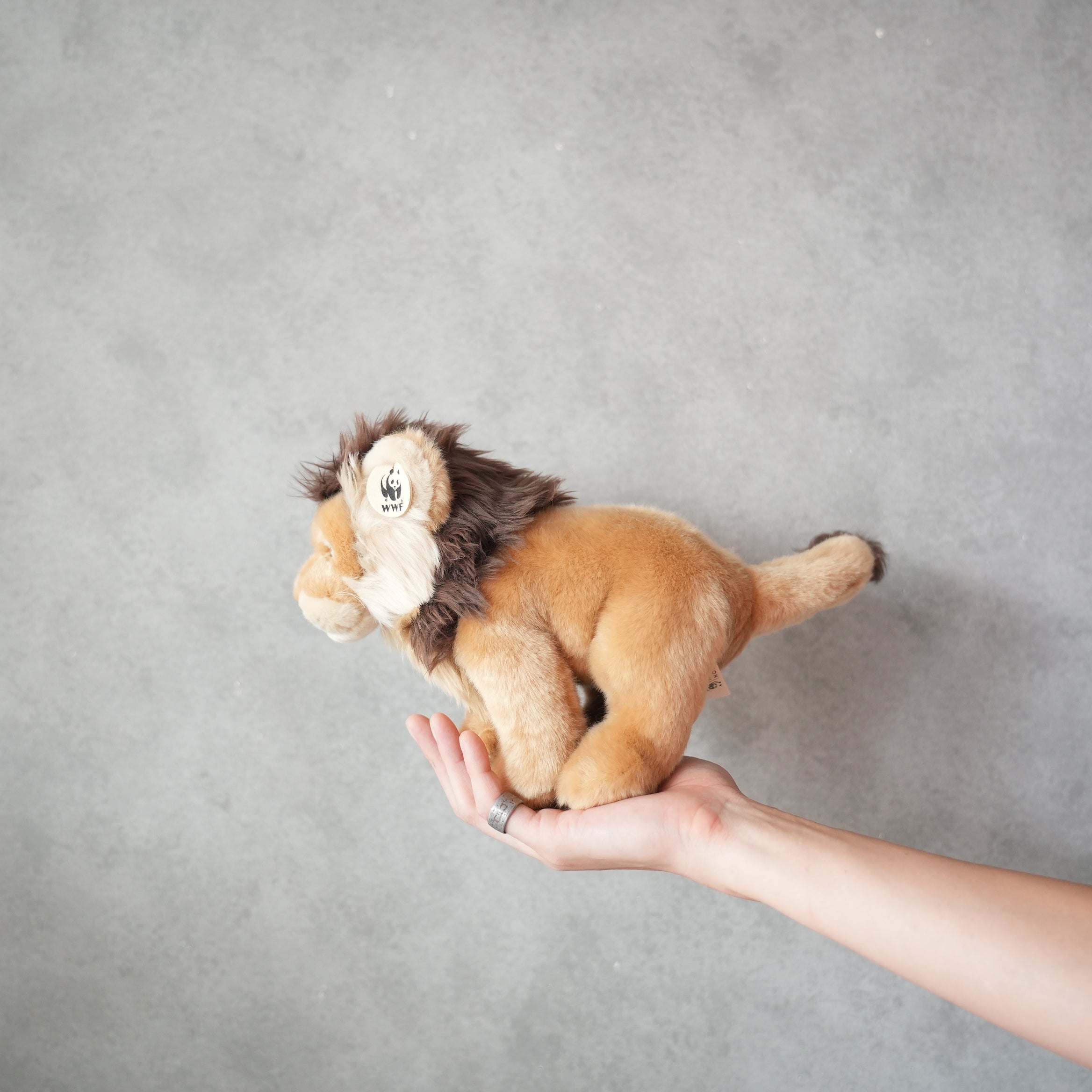 WWF LION