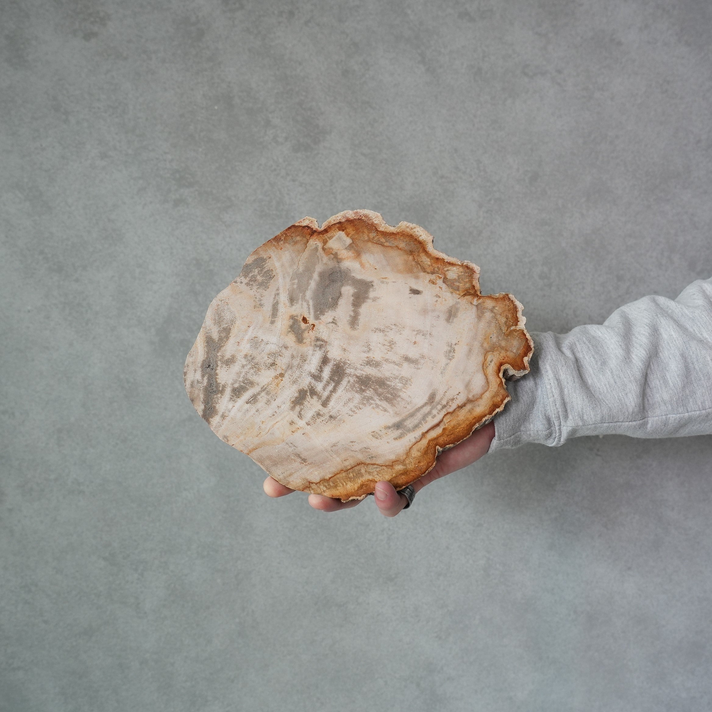 Wood Plate 20 Natural A