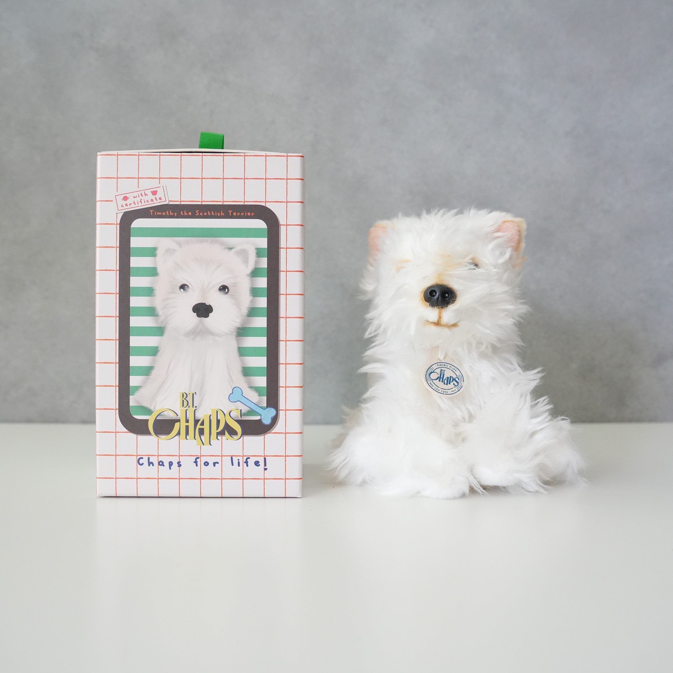 B.T. CHAPS / Scottish Terrier