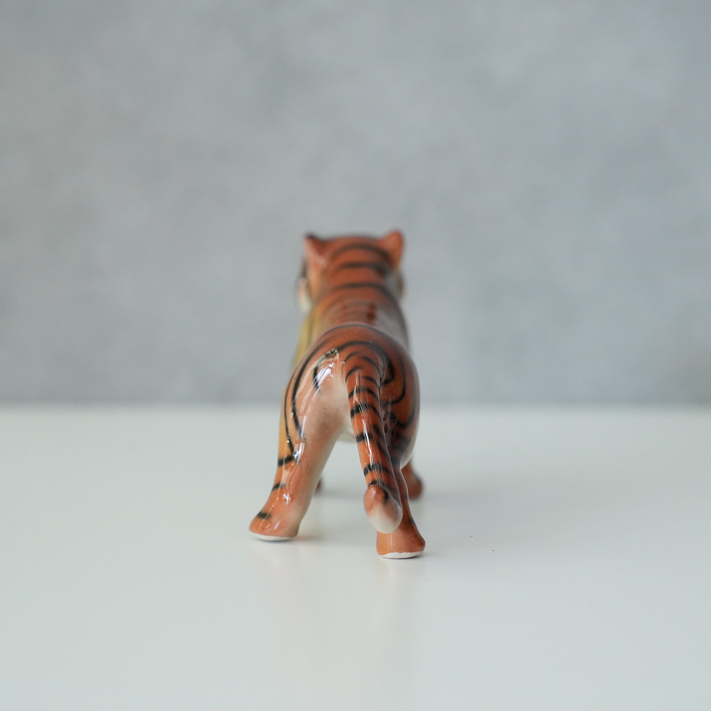 Chiang Mai Tiger
