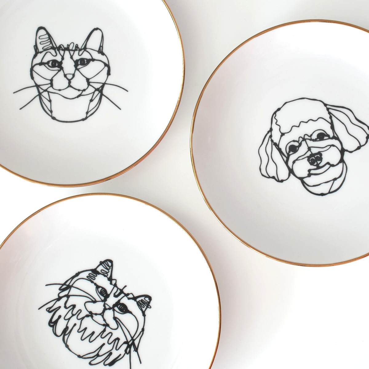 HAyU Plate