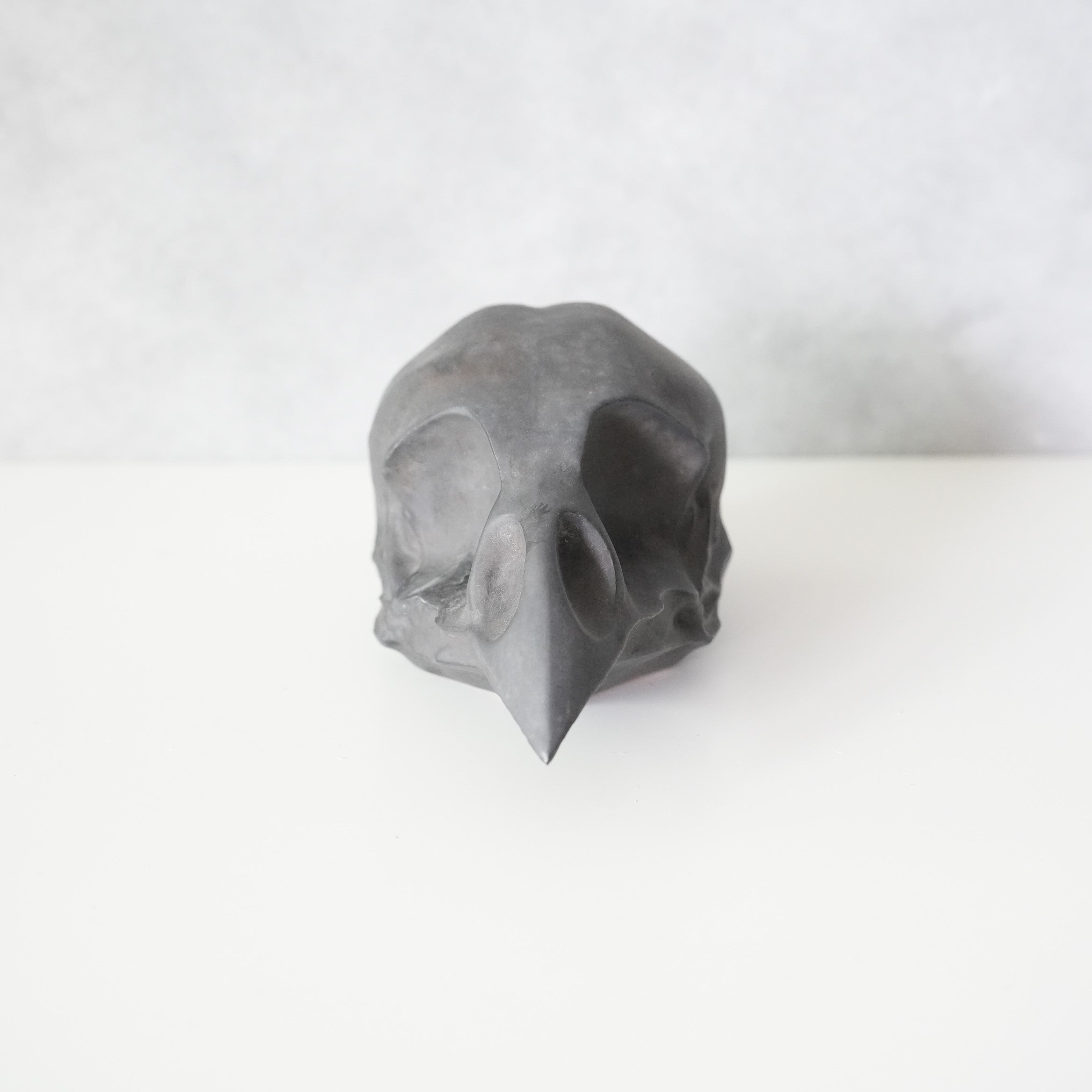 Bird Skull BSK-002-04