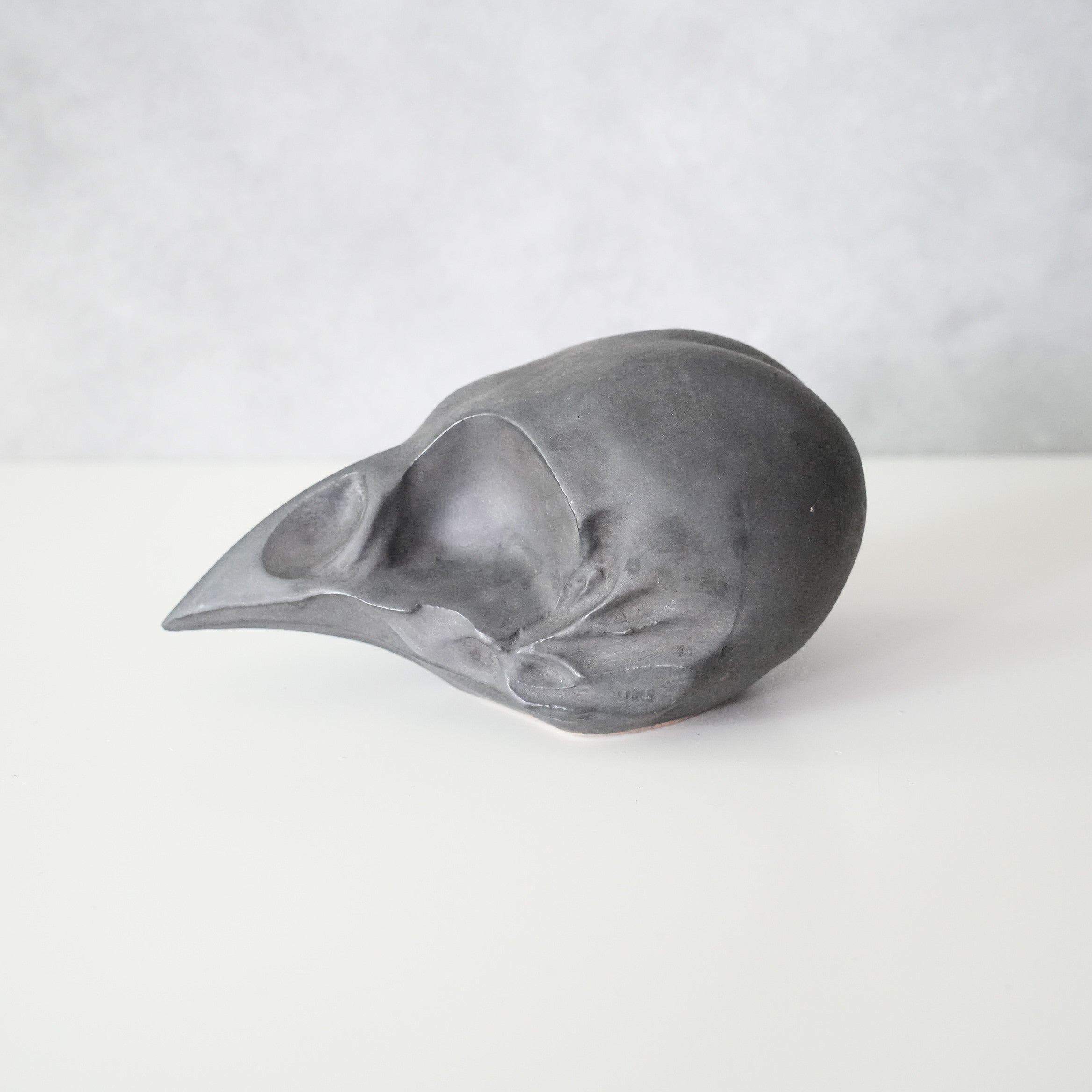 Bird Skull BSK-002-04