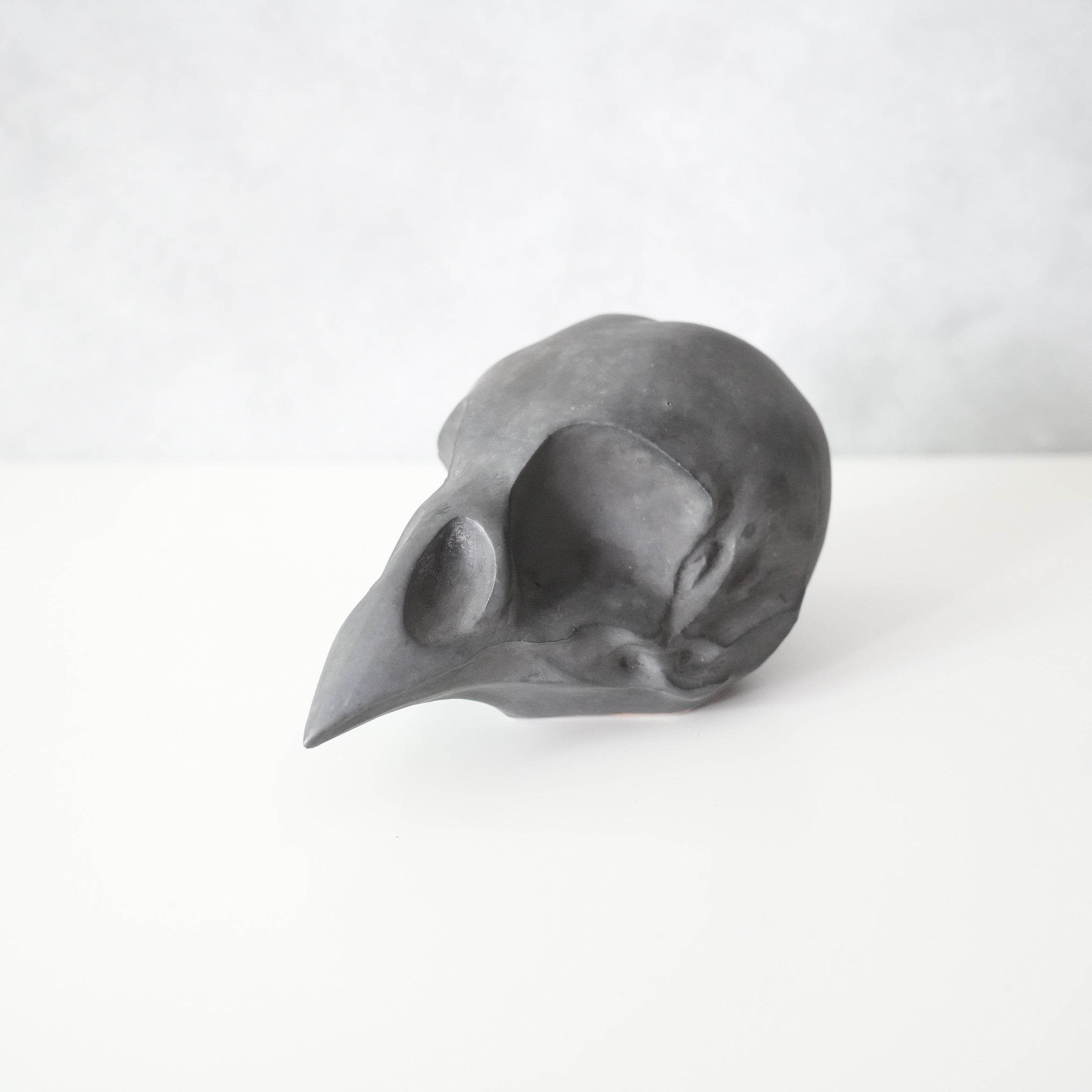 Bird Skull BSK-002-04
