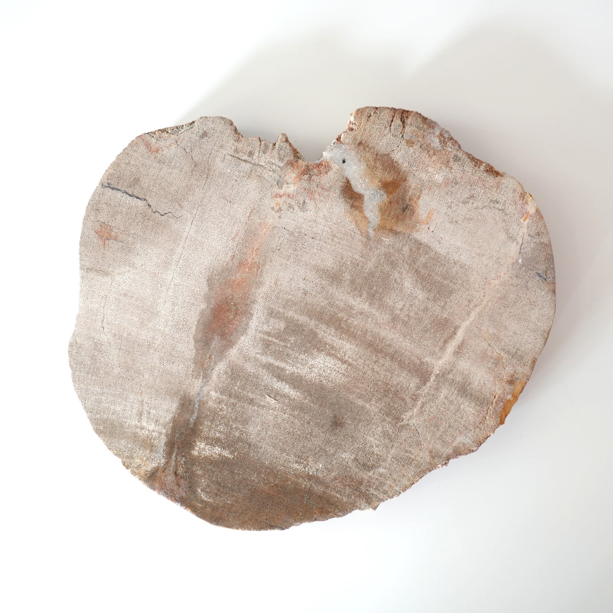 Wood Plate 20 Natural A