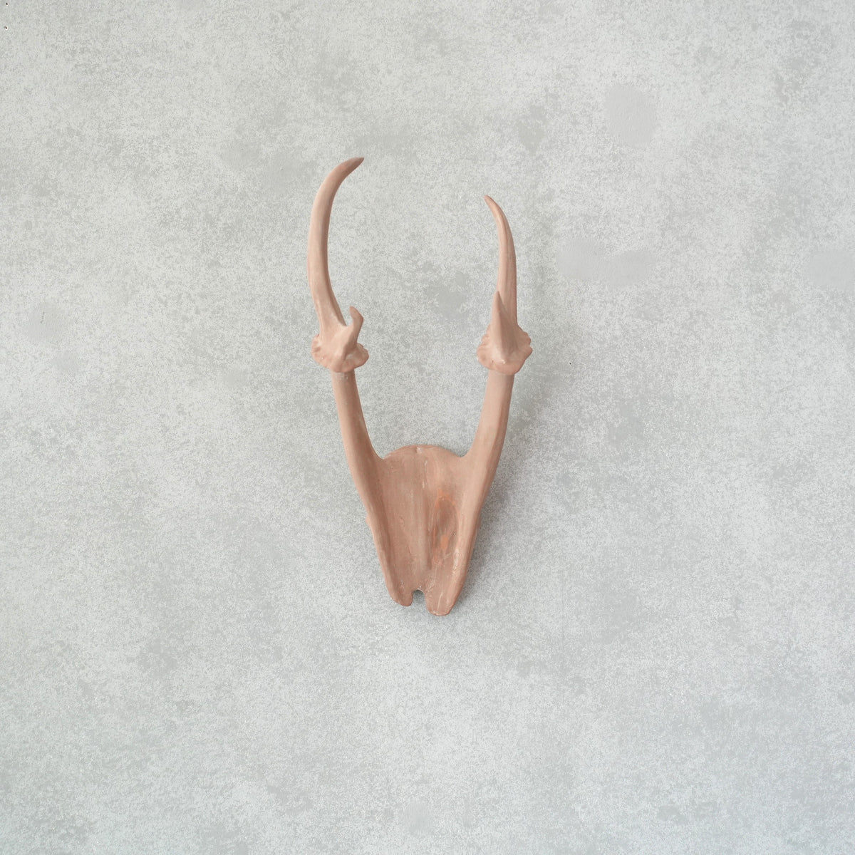 Deer Skull Cap DS-002