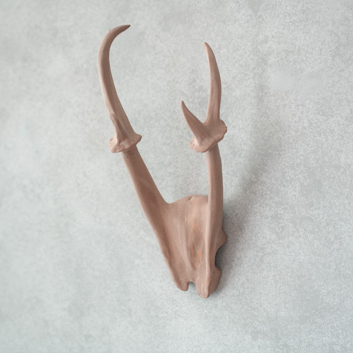 Deer Skull Cap DS-002