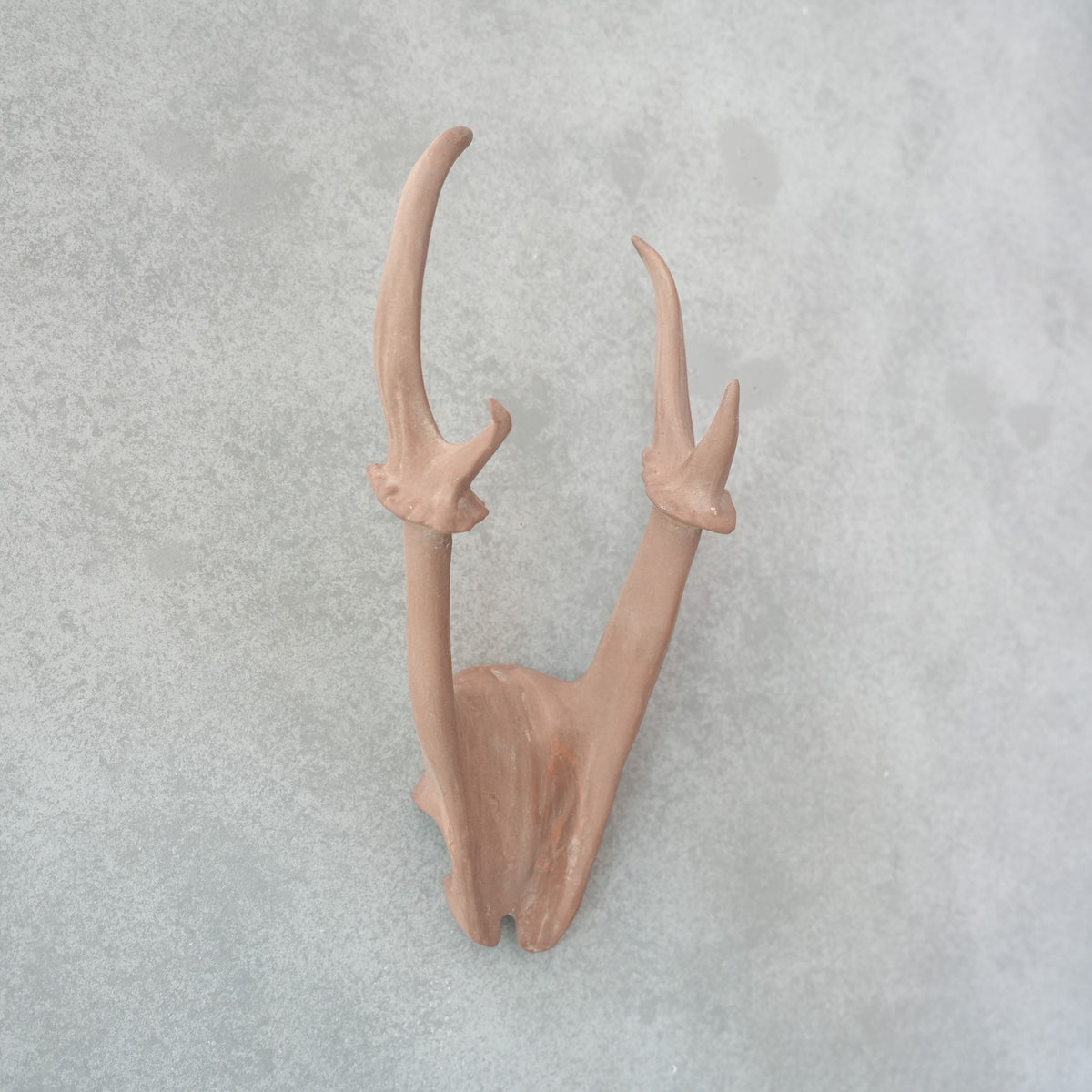 Deer Skull Cap DS-002