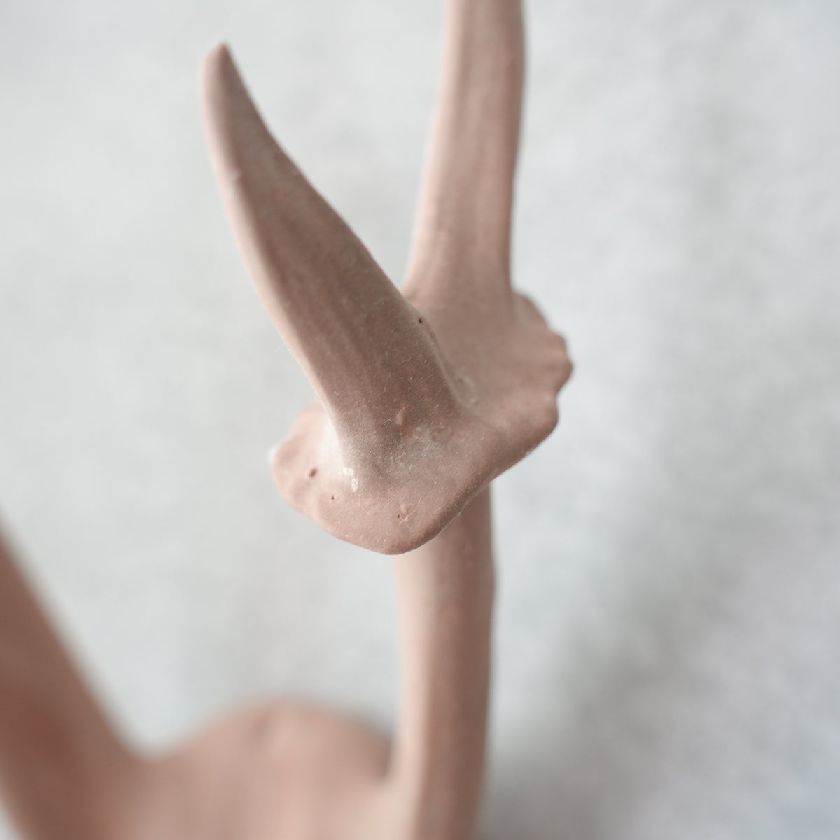 Deer Skull Cap DS-002