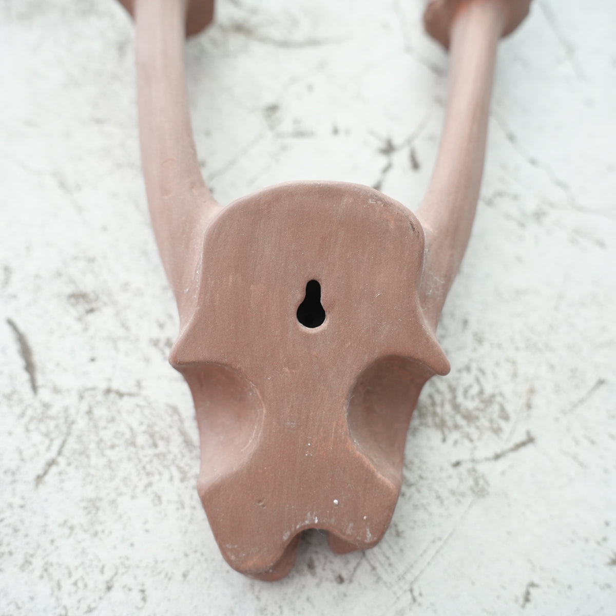 Deer Skull Cap DS-002