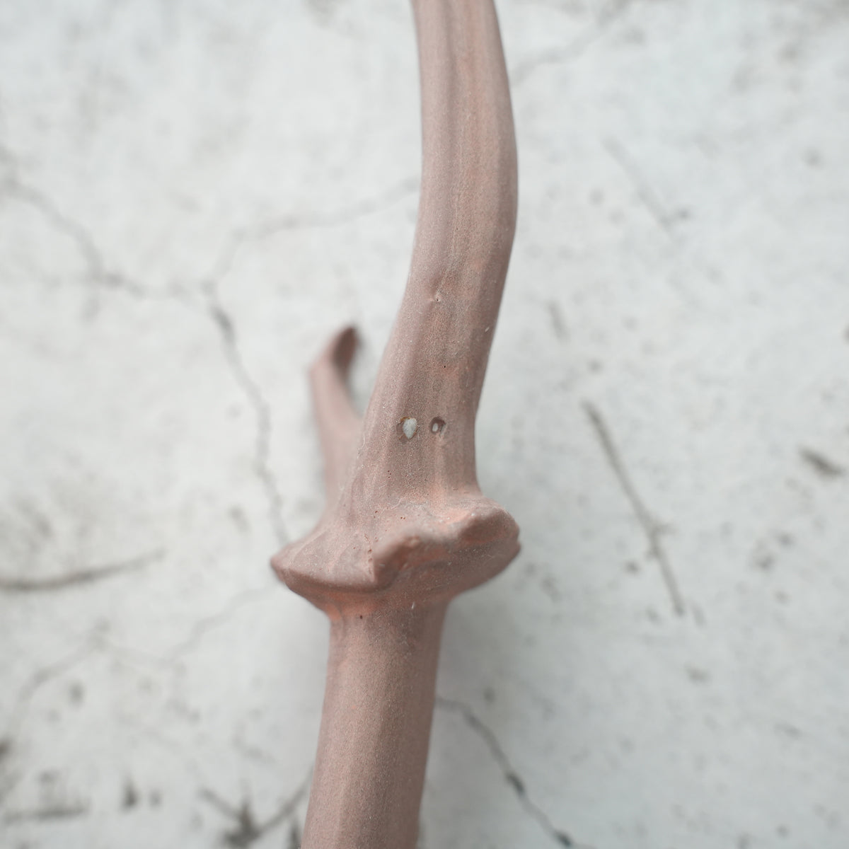 Deer Skull Cap DS-002