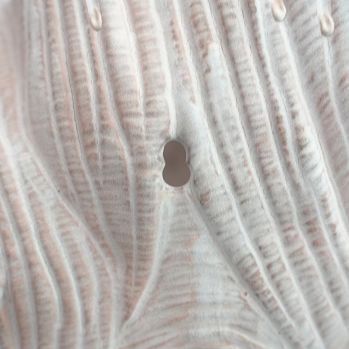 Barnacle L OCT-103