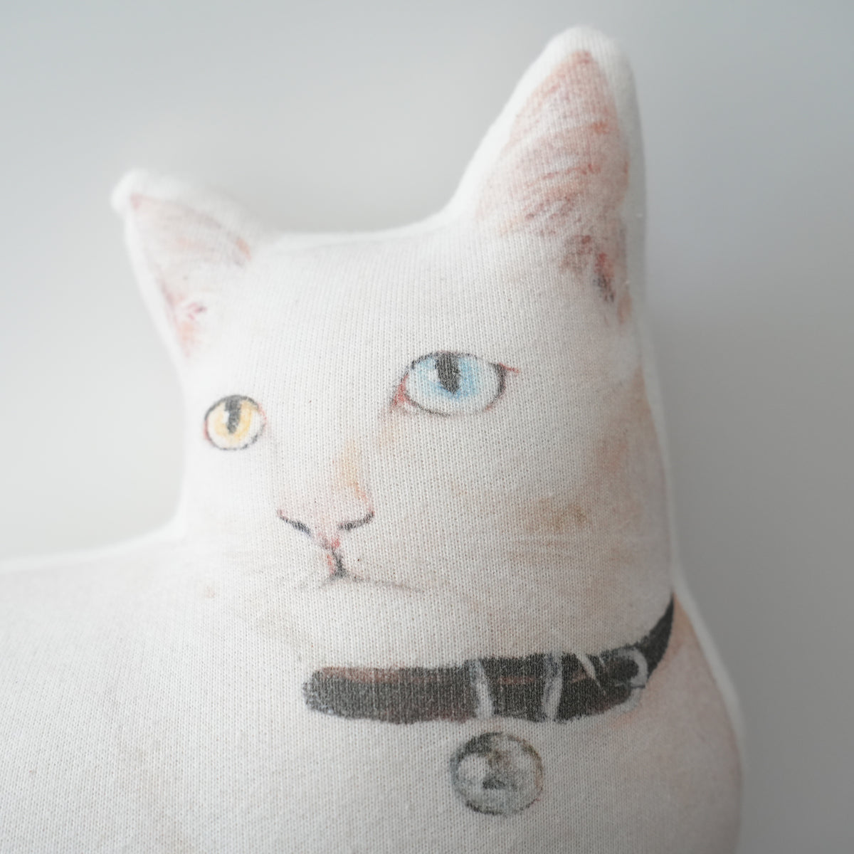 Cat Cushion