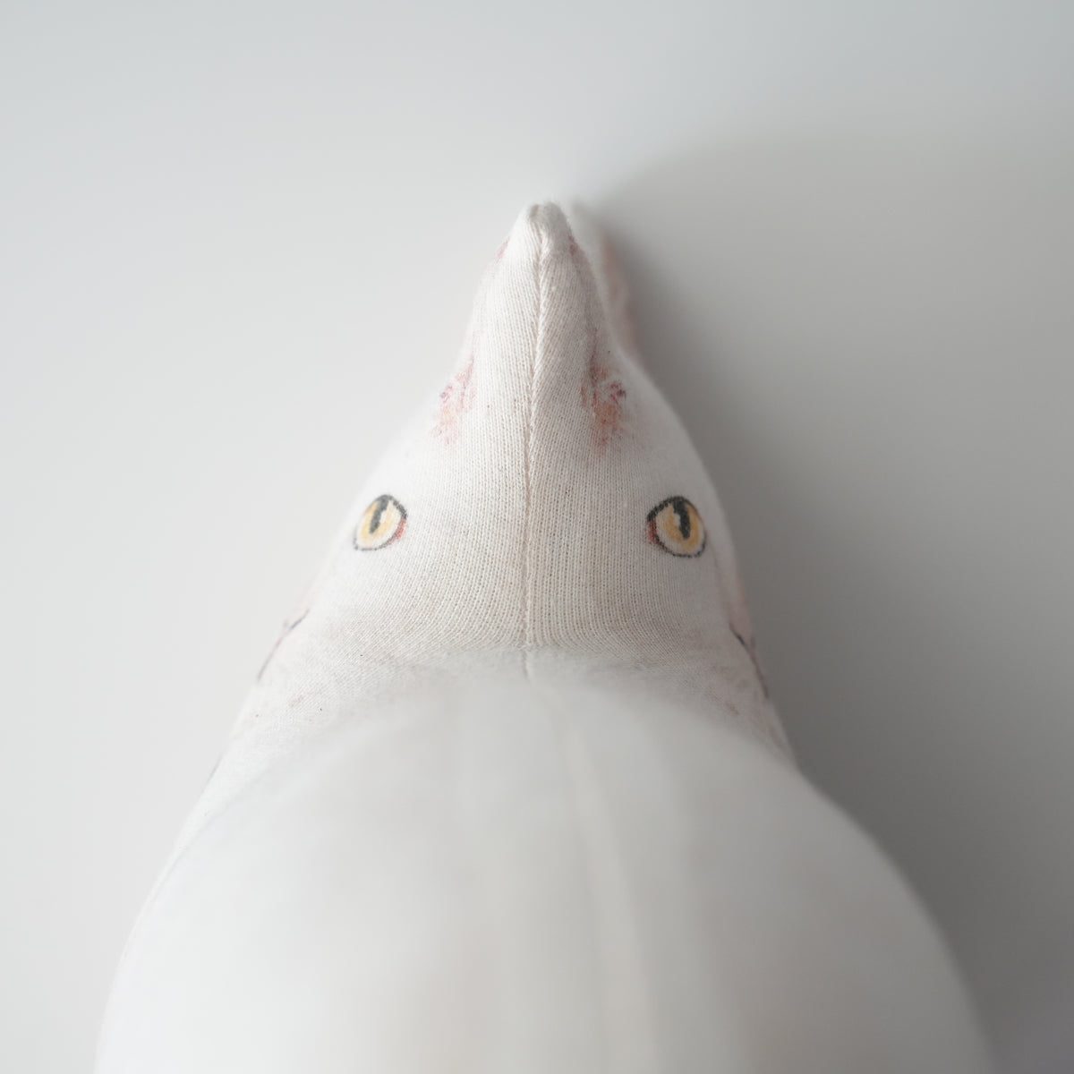 Cat Cushion